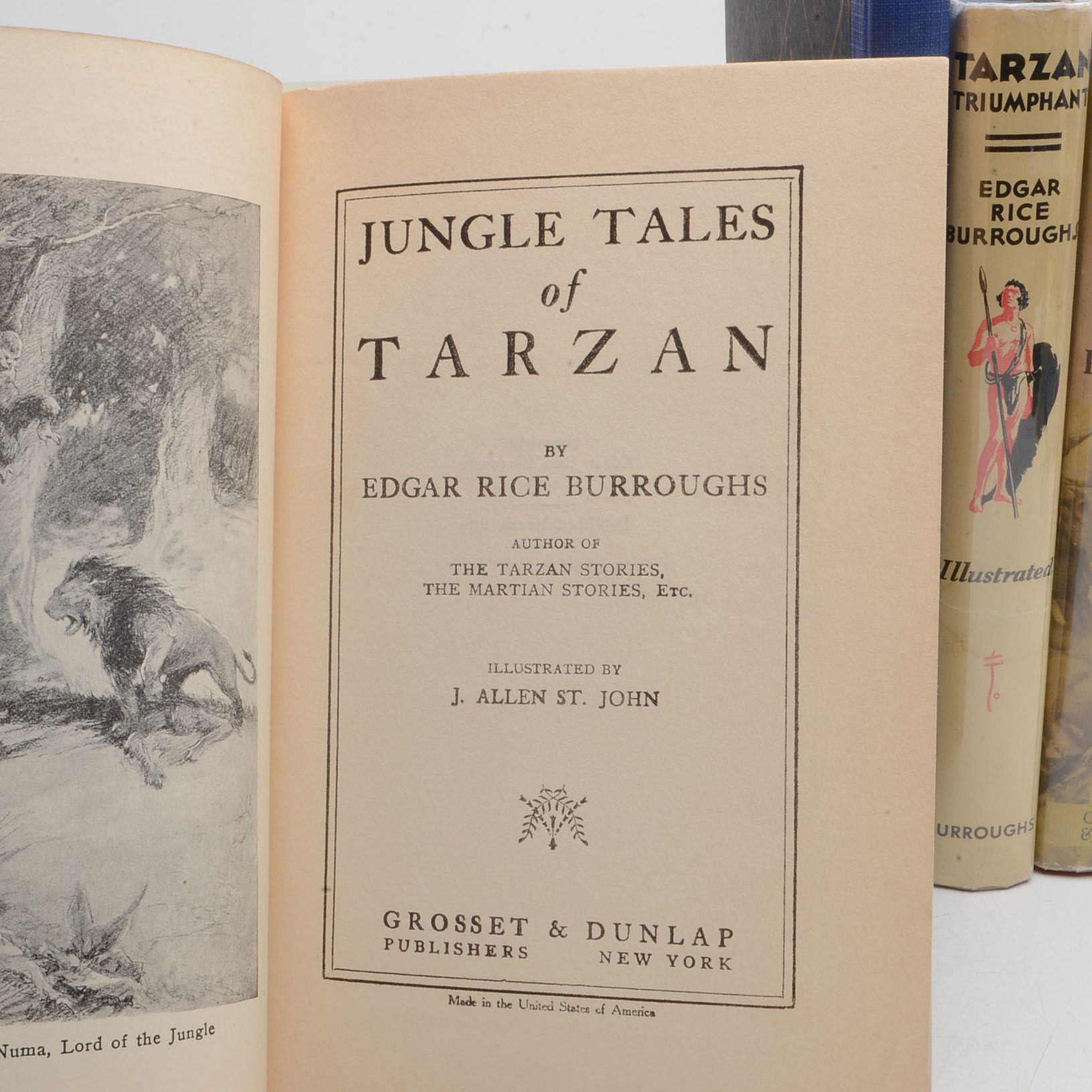 Group of Edgar Rice Burroughs Tarzan Novels