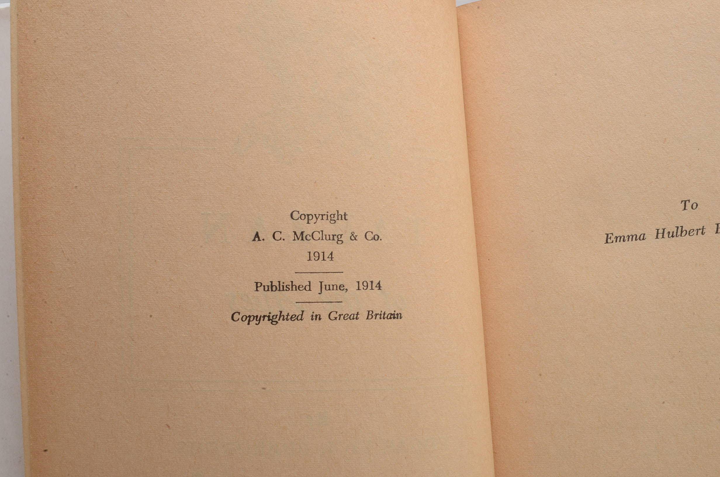 Group of Edgar Rice Burroughs Tarzan Novels