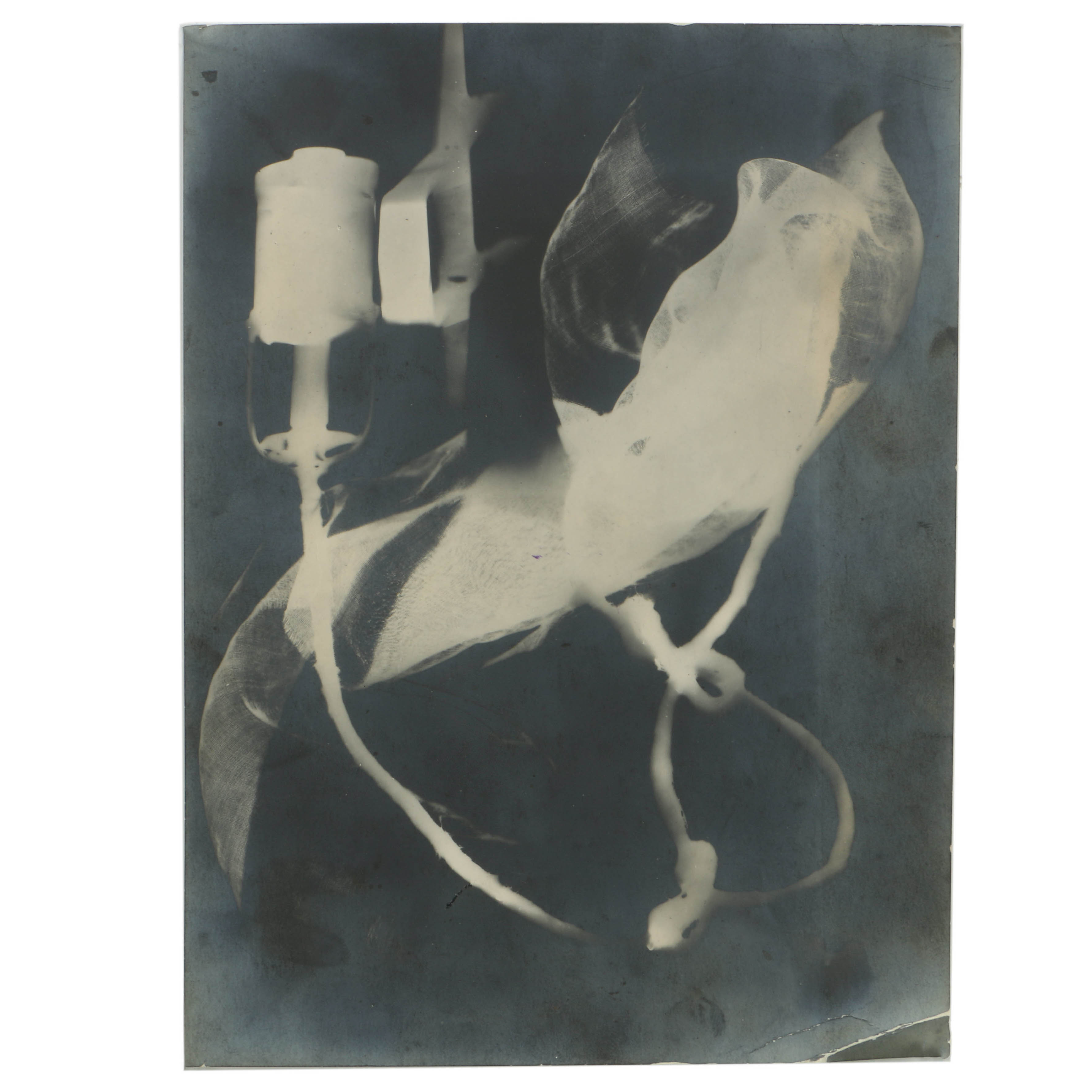 Man Ray 1922 Silver-Gelatin Rayograph from "Les champs délicieux"