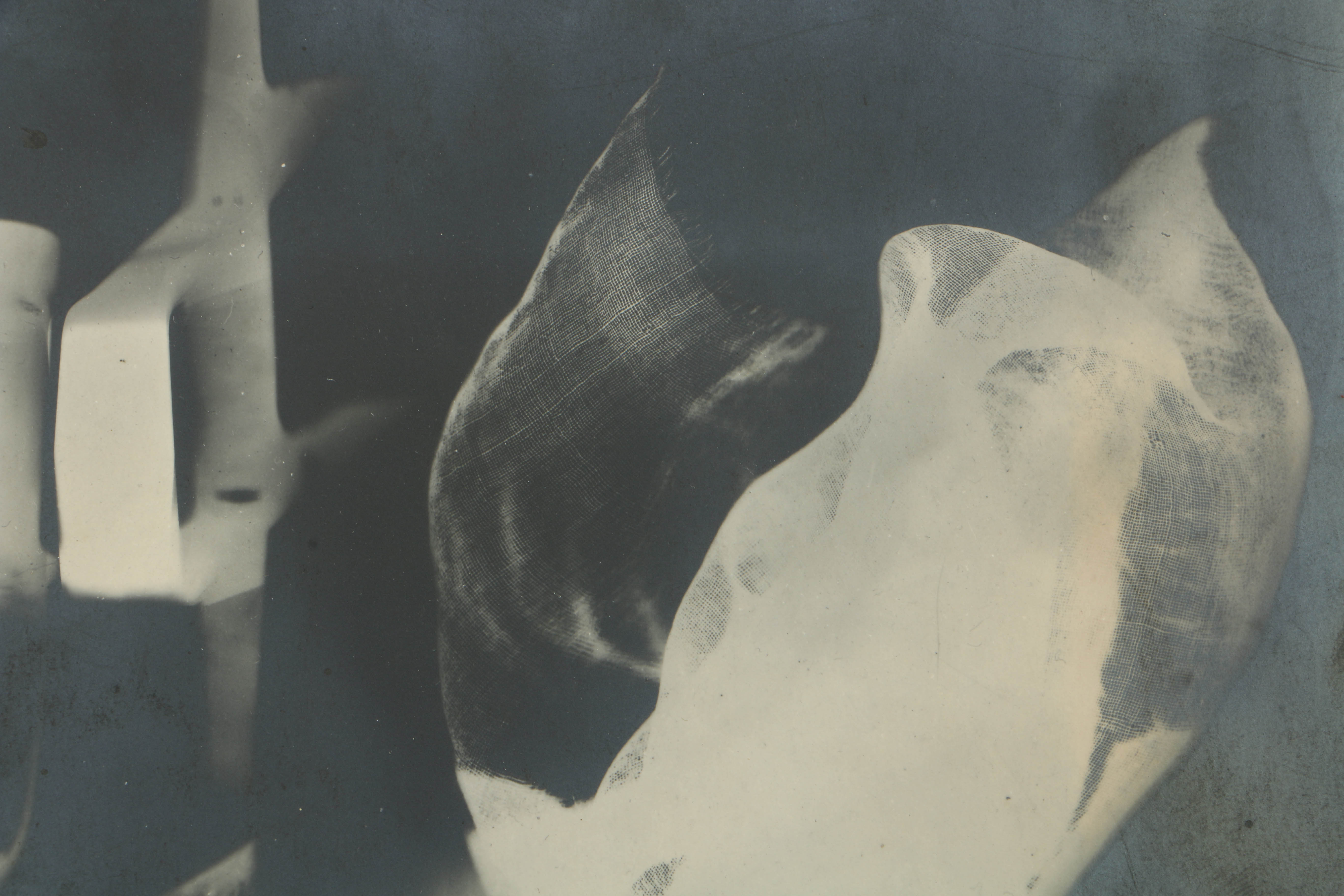 Man Ray 1922 Silver-Gelatin Rayograph from "Les champs délicieux"