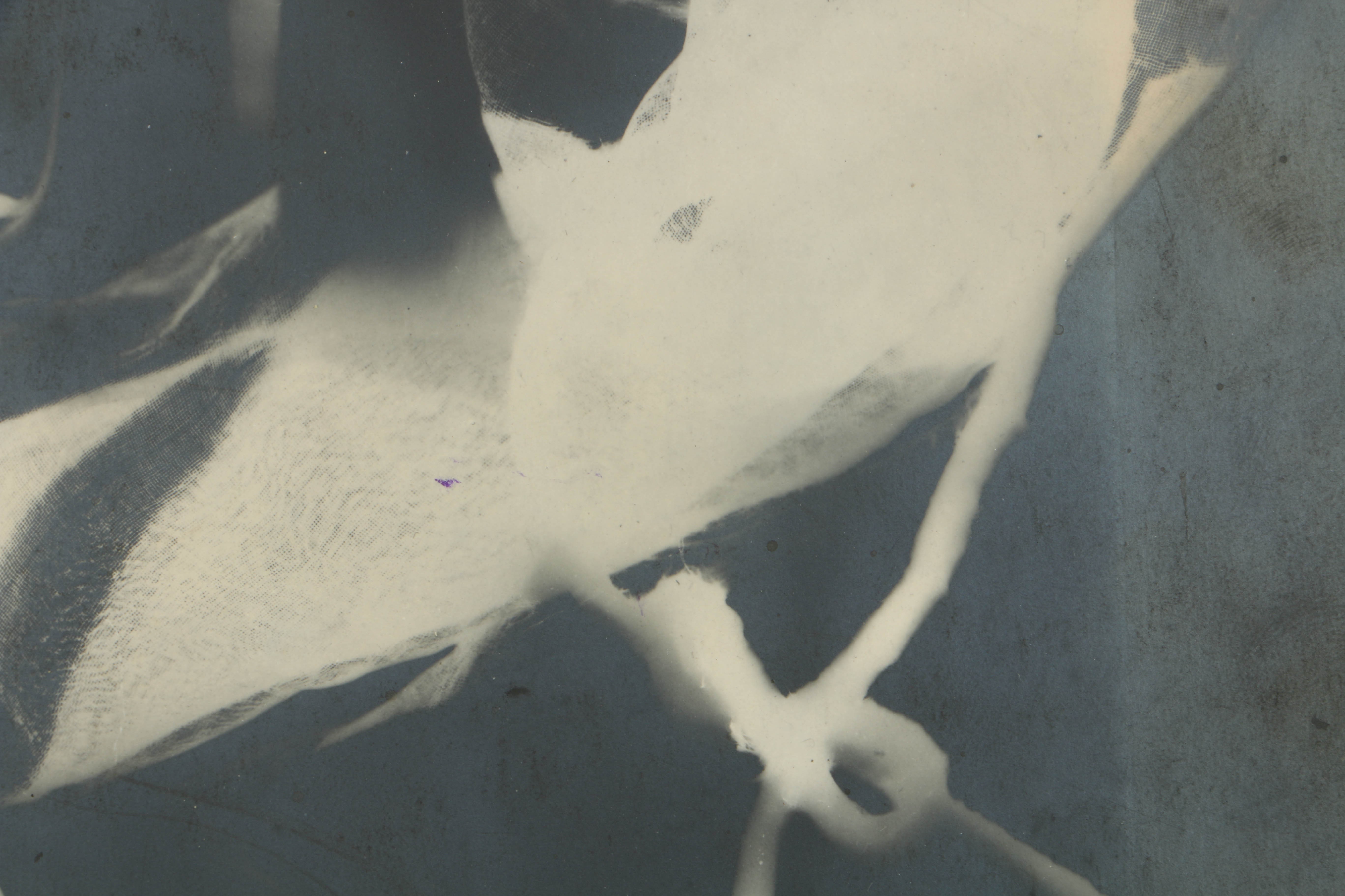 Man Ray 1922 Silver-Gelatin Rayograph from "Les champs délicieux"