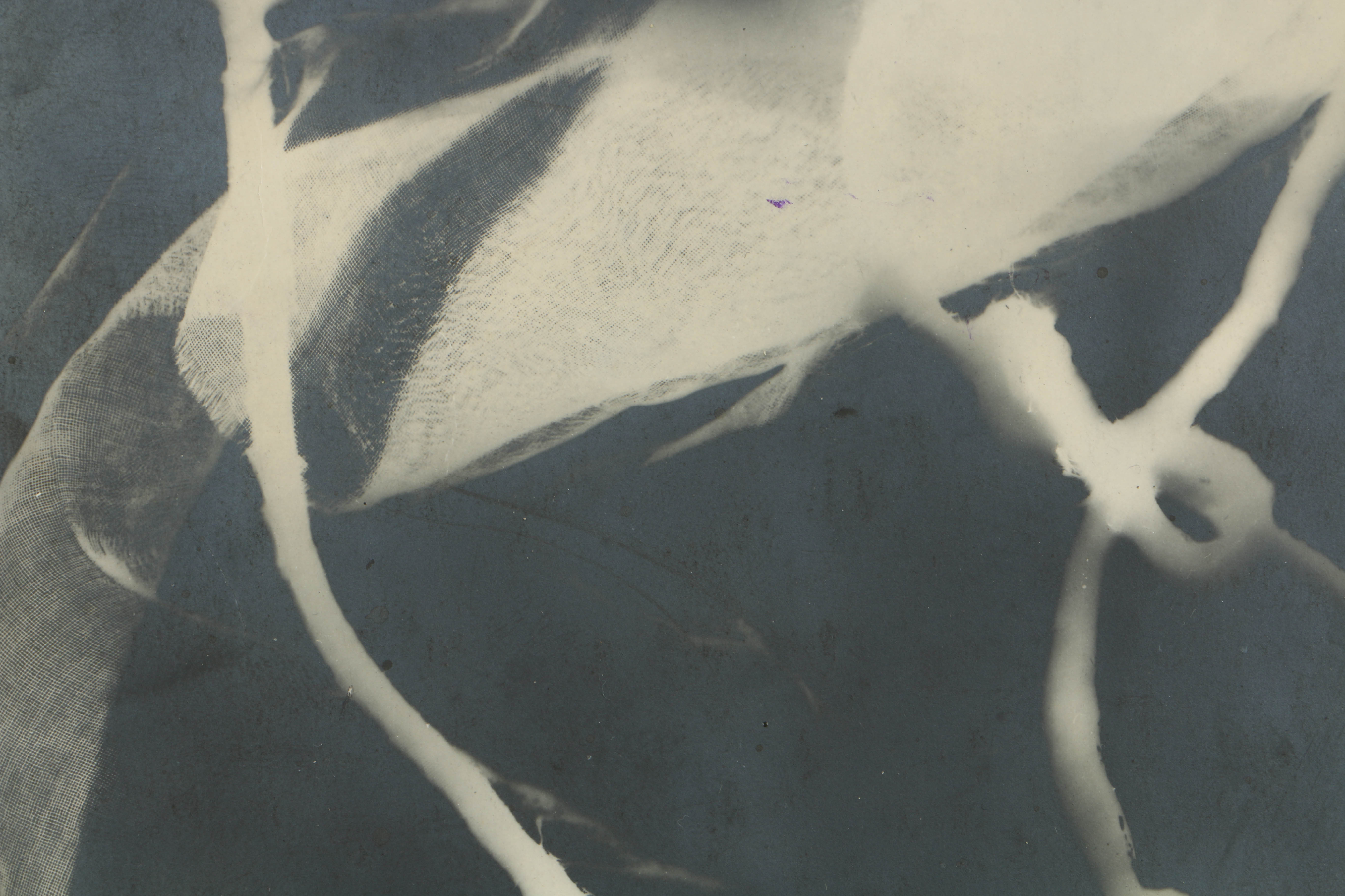 Man Ray 1922 Silver-Gelatin Rayograph from "Les champs délicieux"