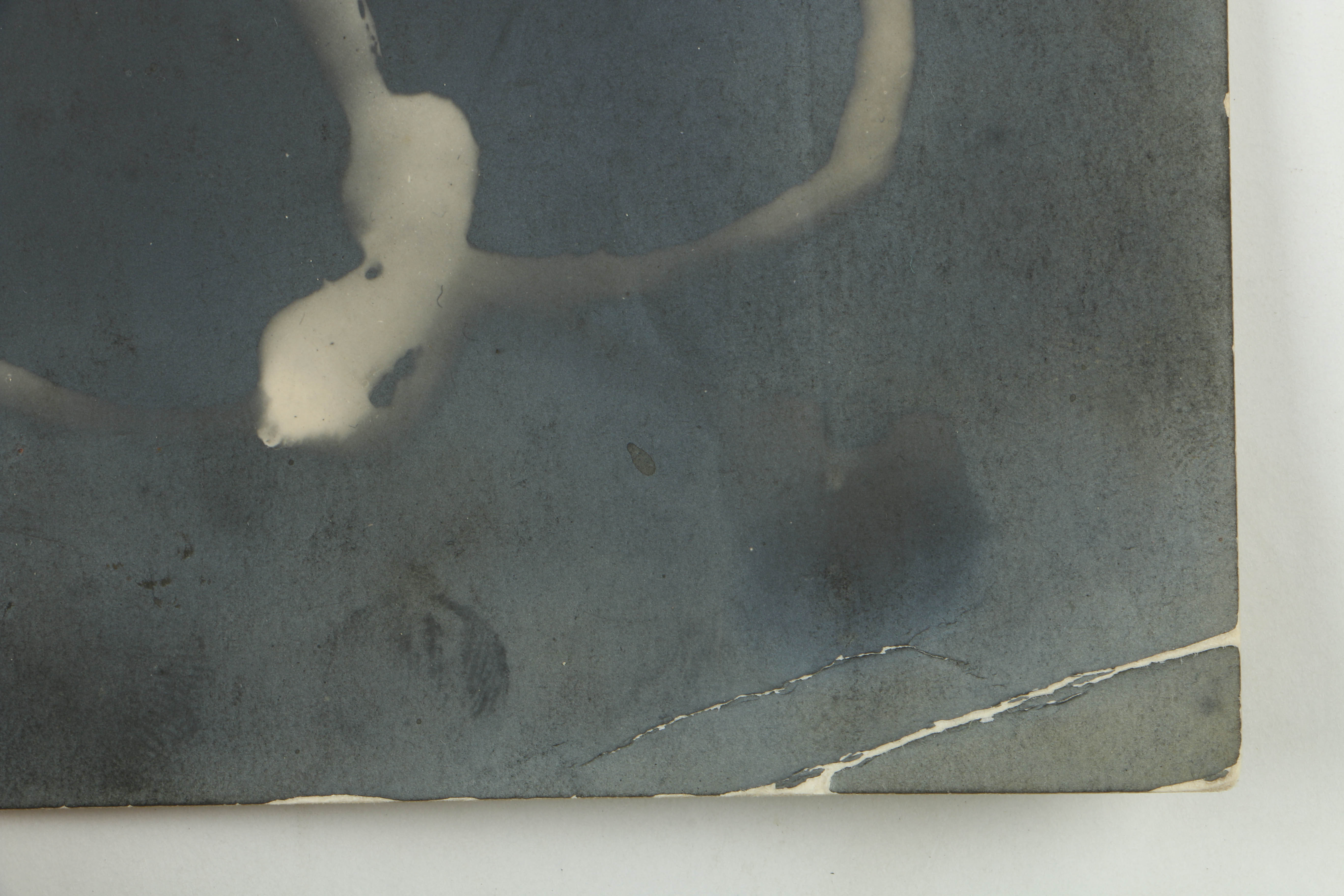 Man Ray 1922 Silver-Gelatin Rayograph from "Les champs délicieux"