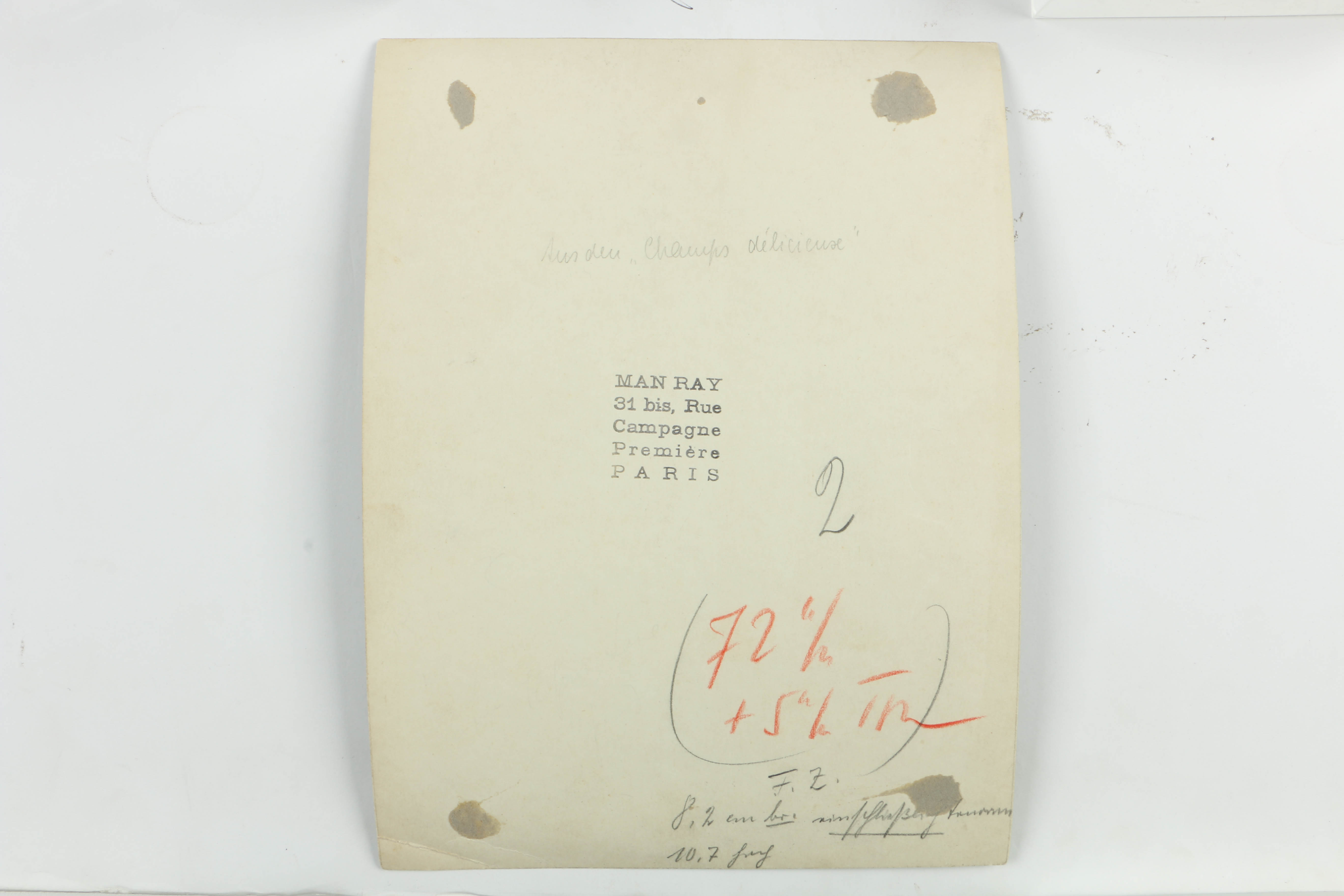 Man Ray 1922 Silver-Gelatin Rayograph from "Les champs délicieux"