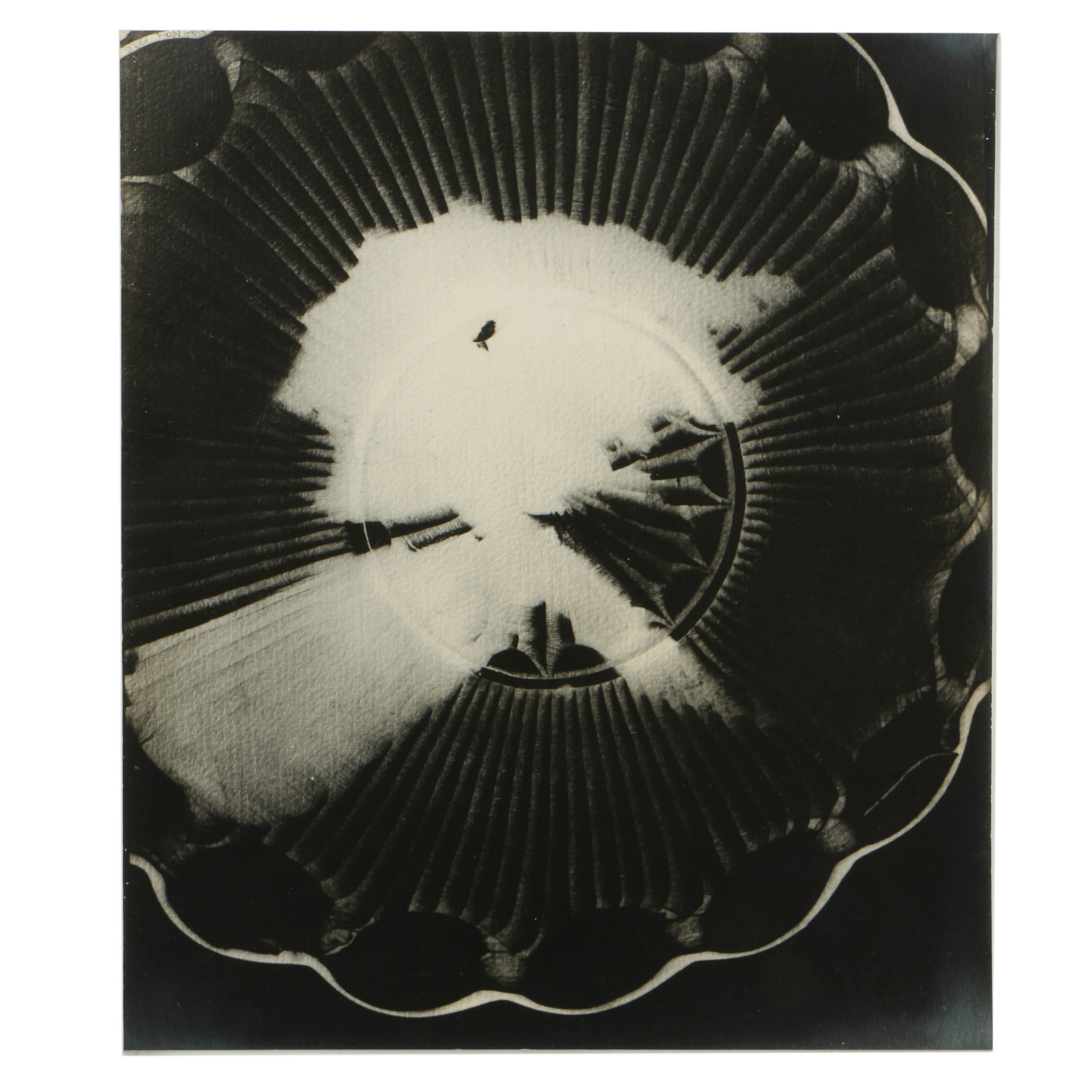 Man Ray 1928 Silver-Gelatin Rayograph