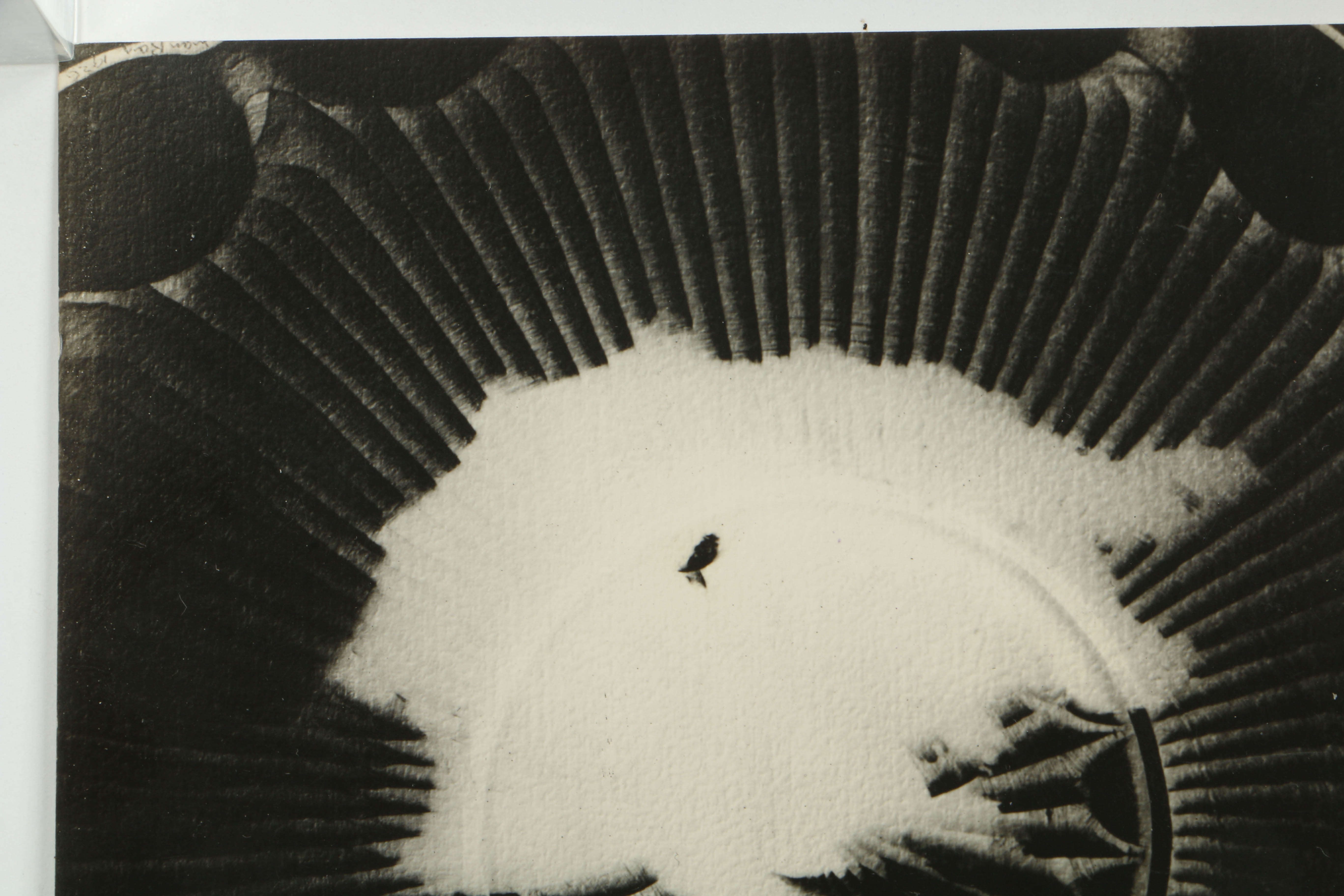 Man Ray 1928 Silver-Gelatin Rayograph