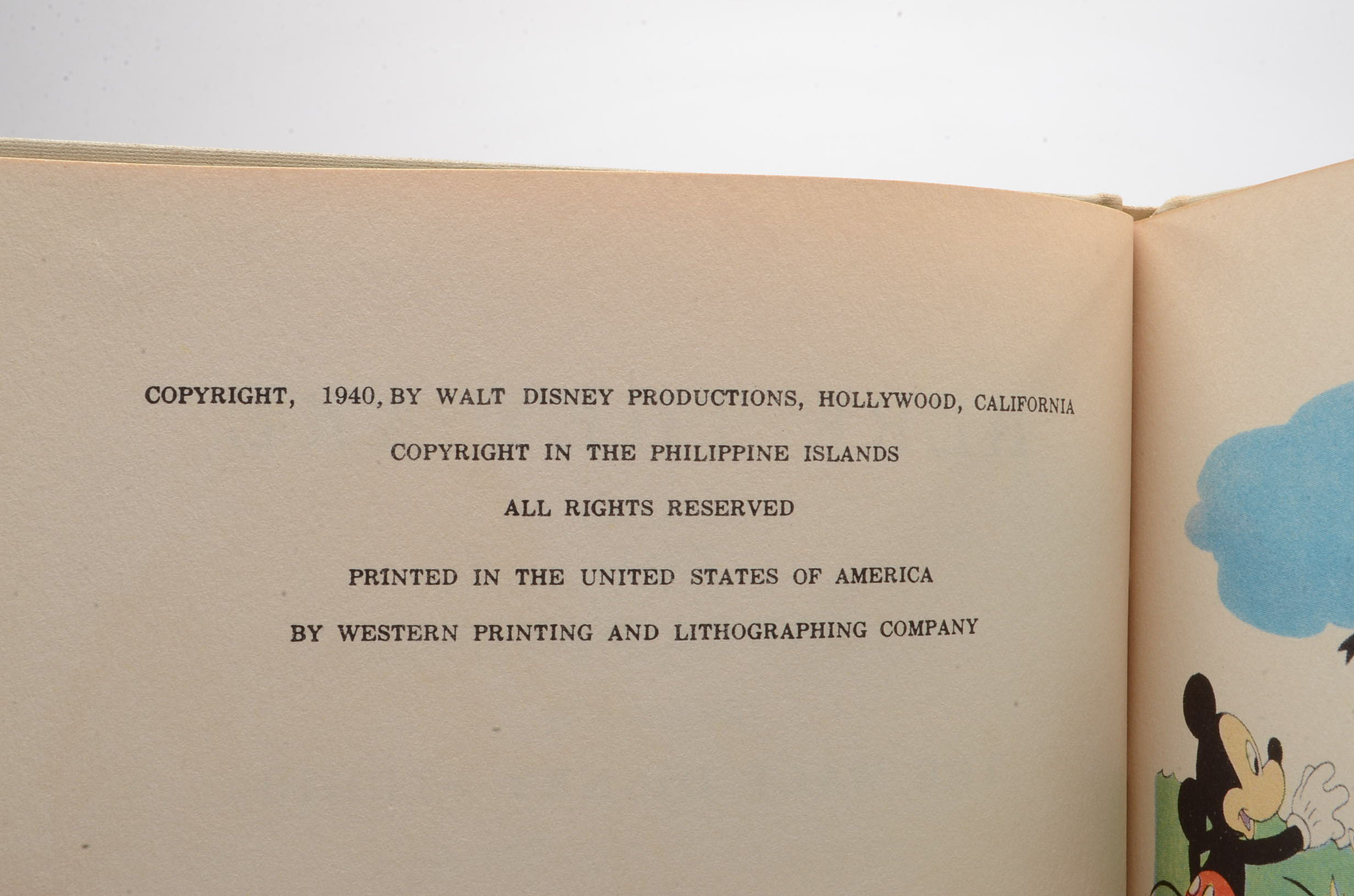 Vintage Disney Children's Book Group