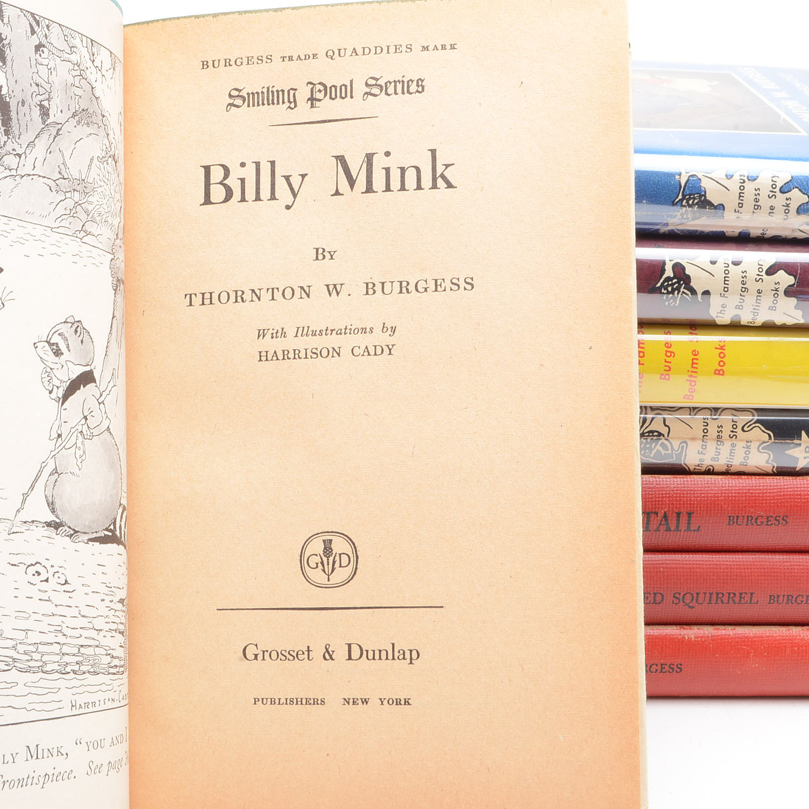 Vintage Thornton W. Burgess Children's Books