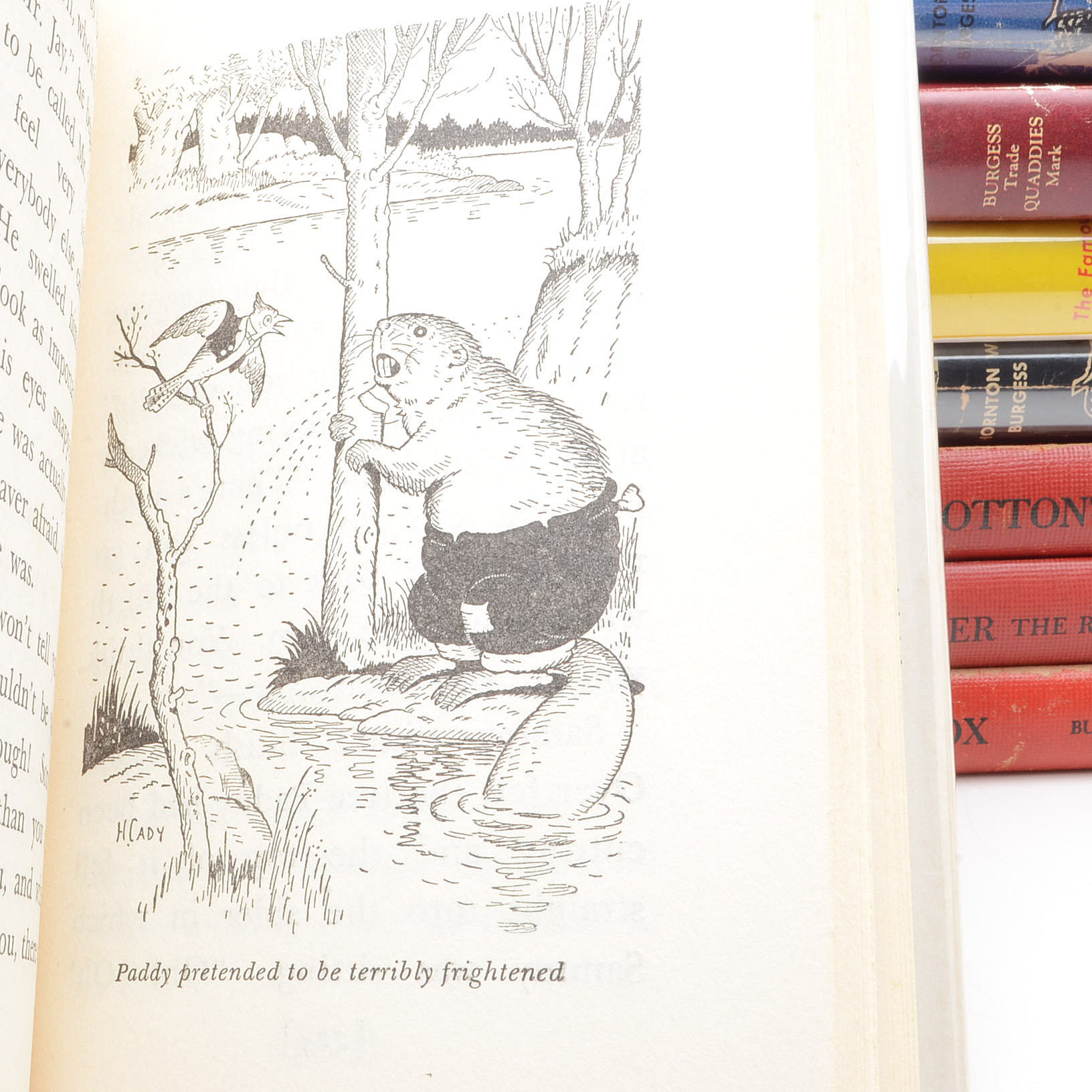 Vintage Thornton W. Burgess Children's Books