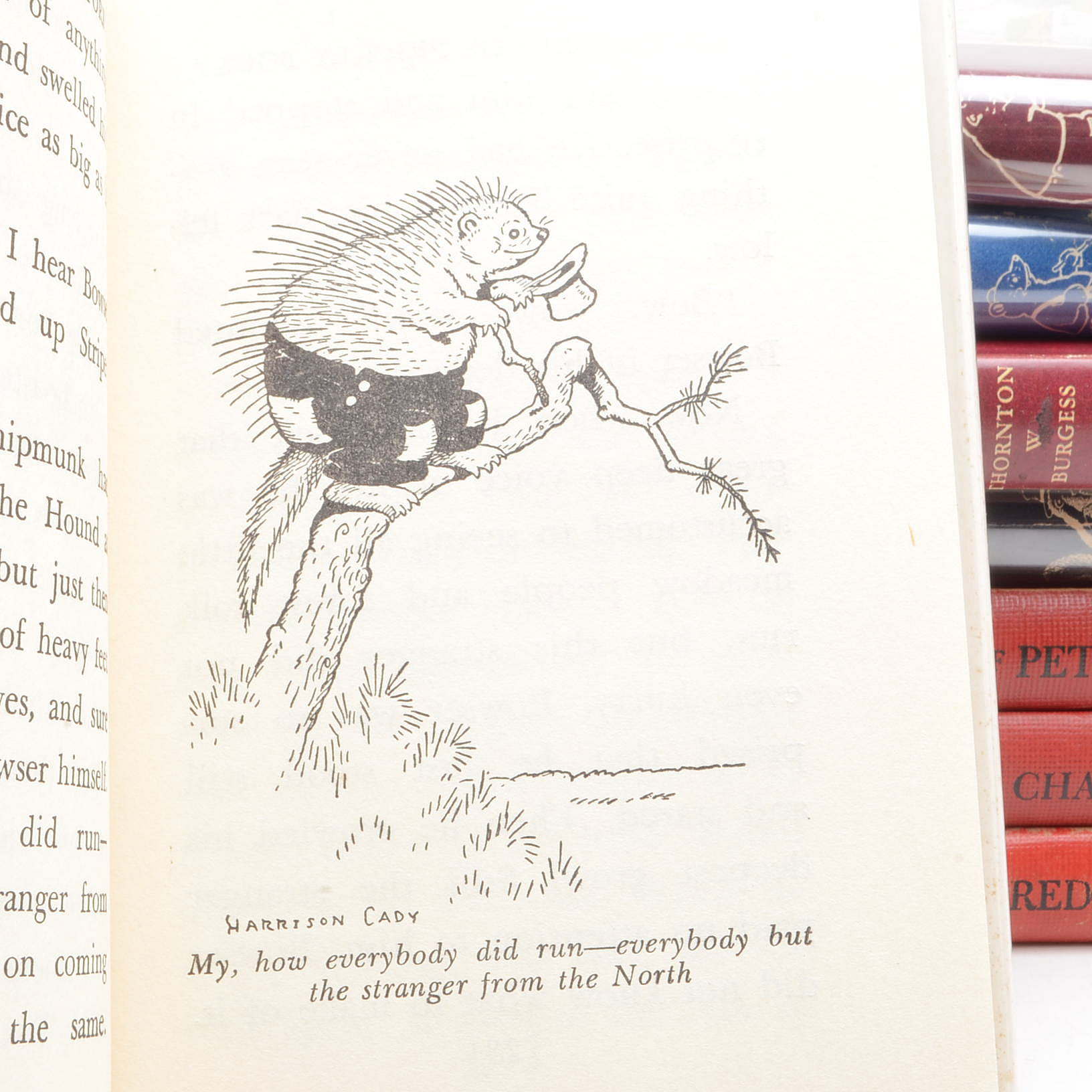 Vintage Thornton W. Burgess Children's Books