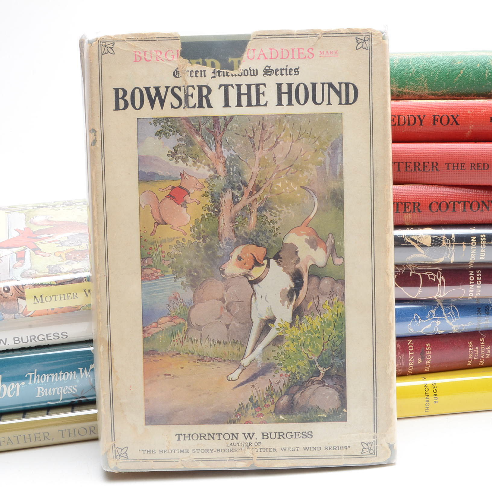Vintage Thornton W. Burgess Children's Books