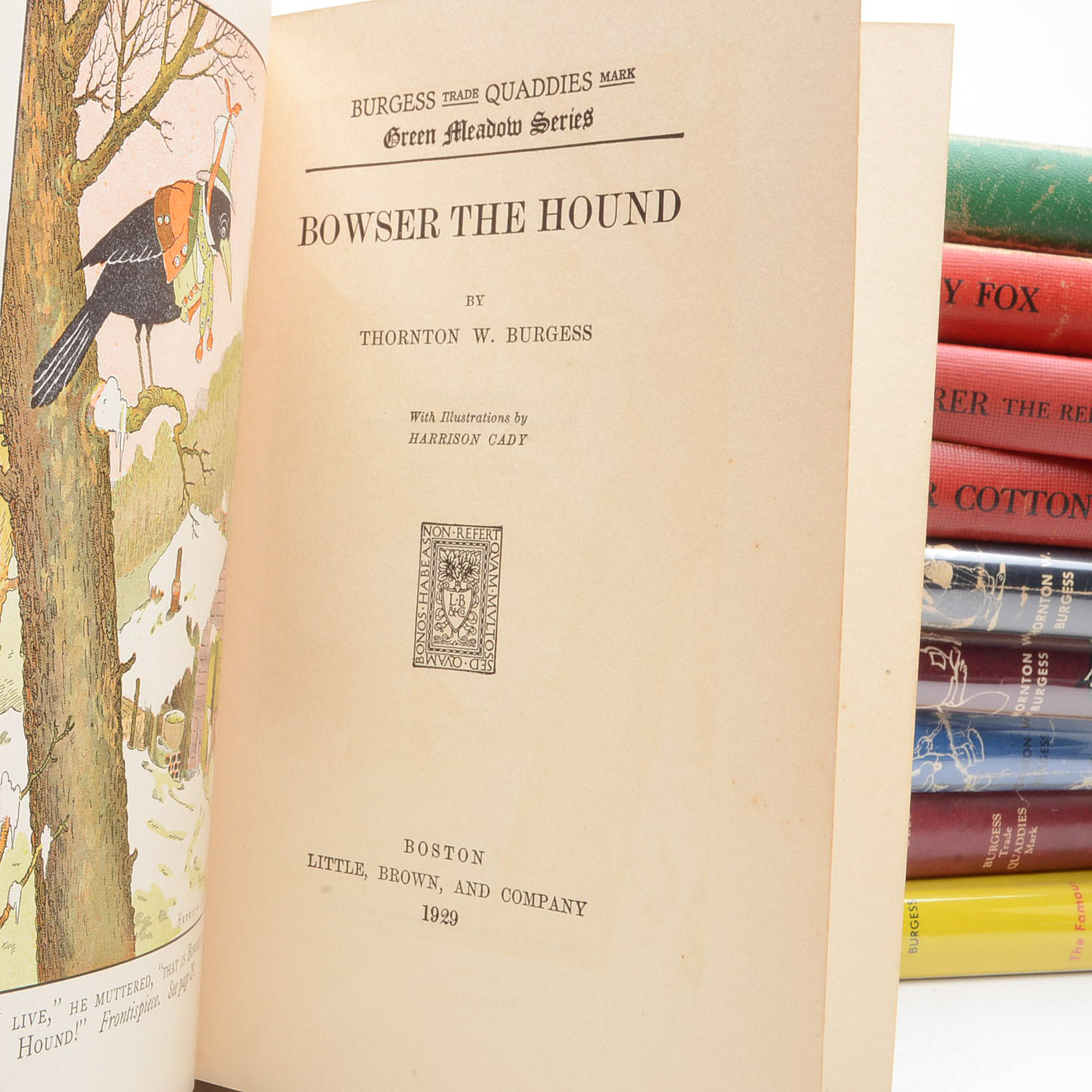 Vintage Thornton W. Burgess Children's Books