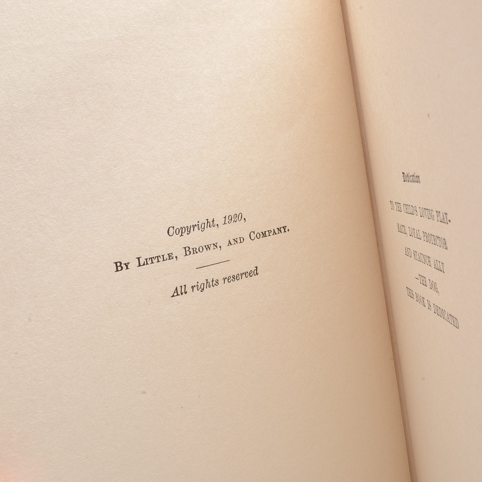 Vintage Thornton W. Burgess Children's Books