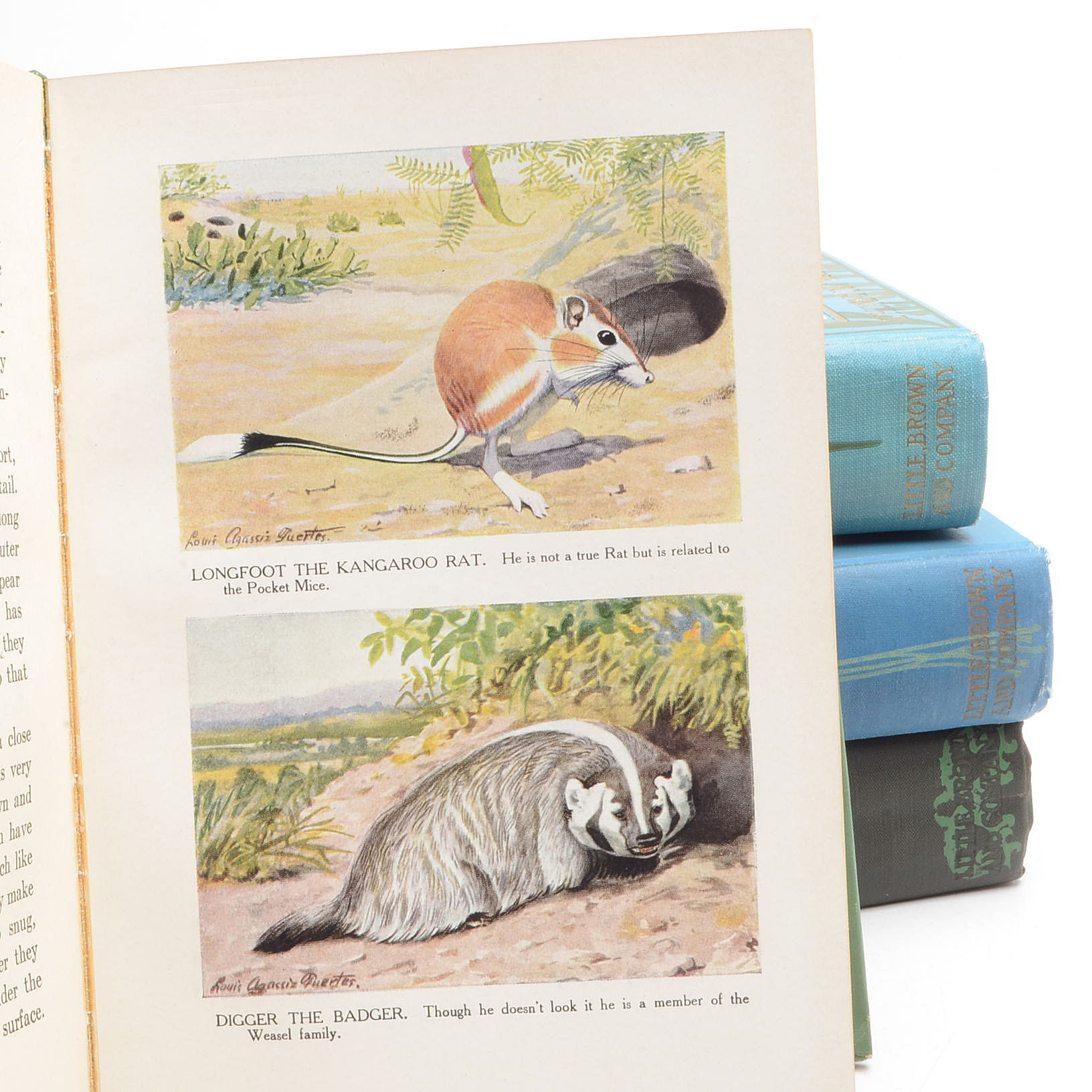 Signed 1920's Thornton W. Burgess Nature Books for Children