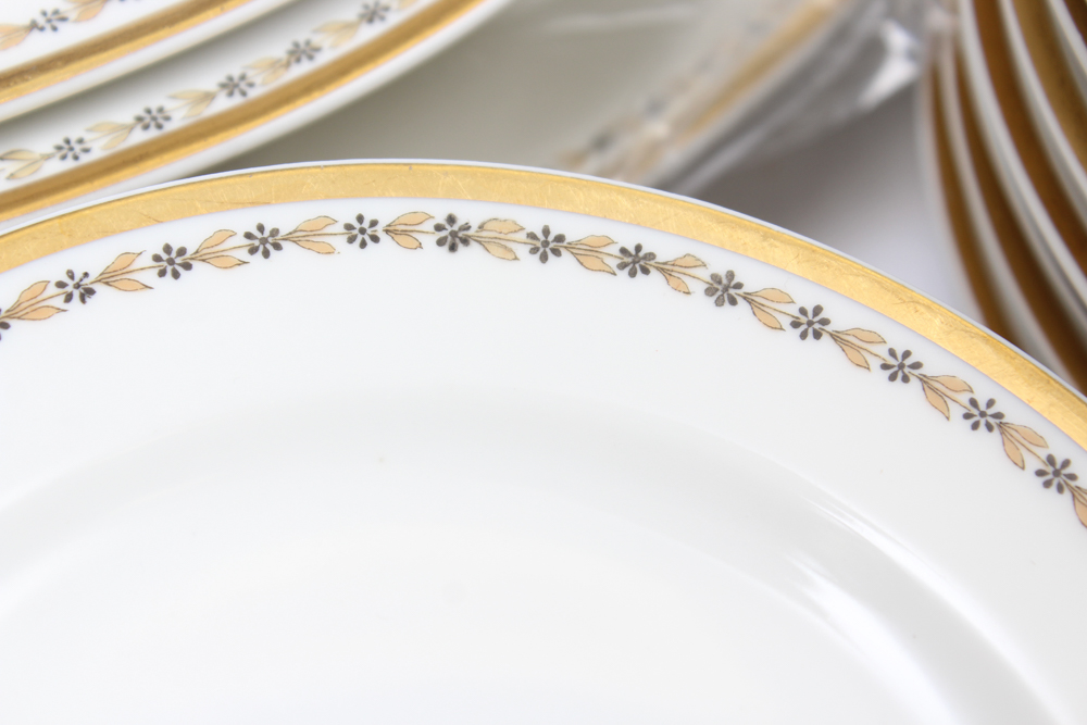 Vintage Haviland Limoges Porcelain Dinner Service