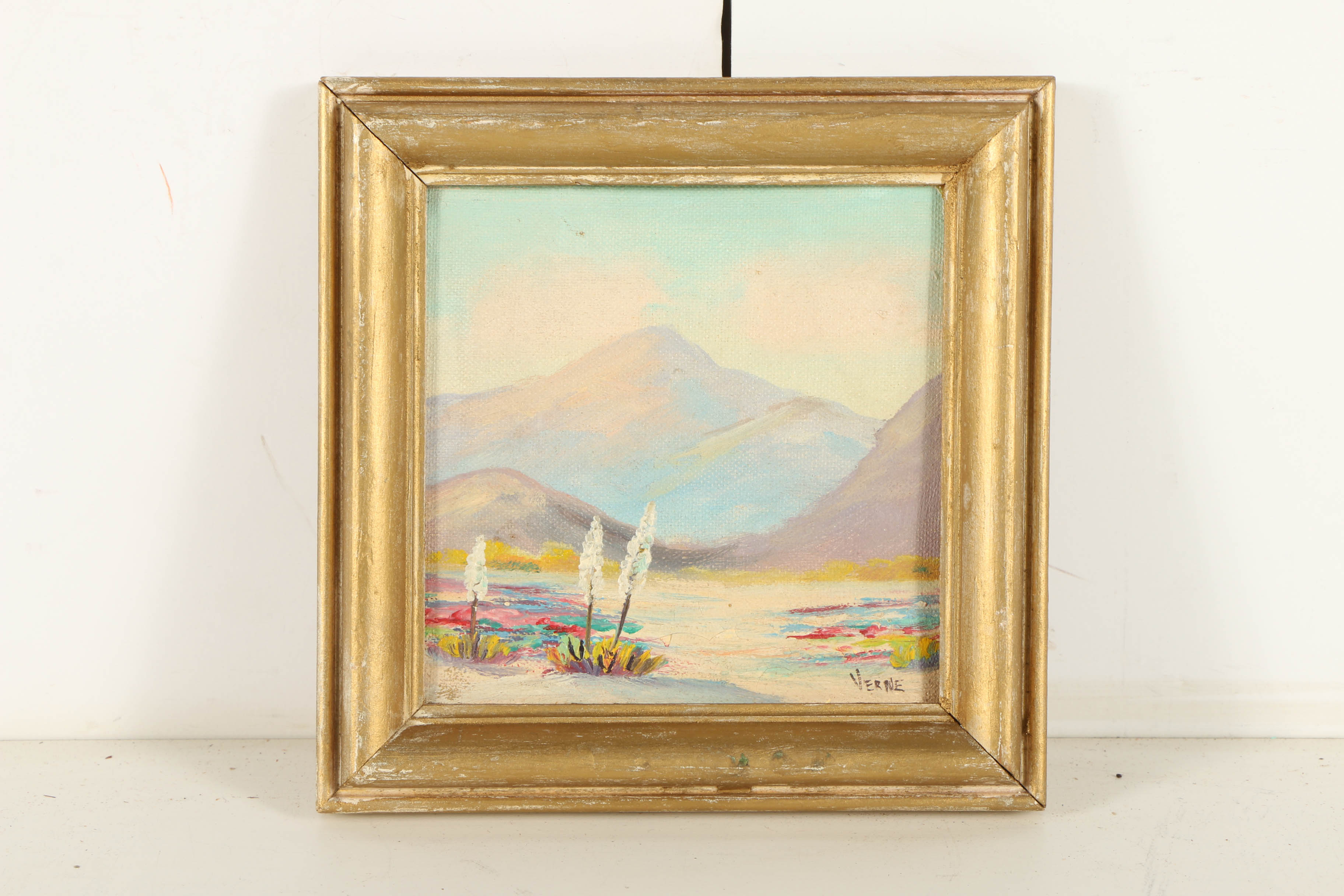 Verne Oil Paintings on Canvas of Desert Landscapes