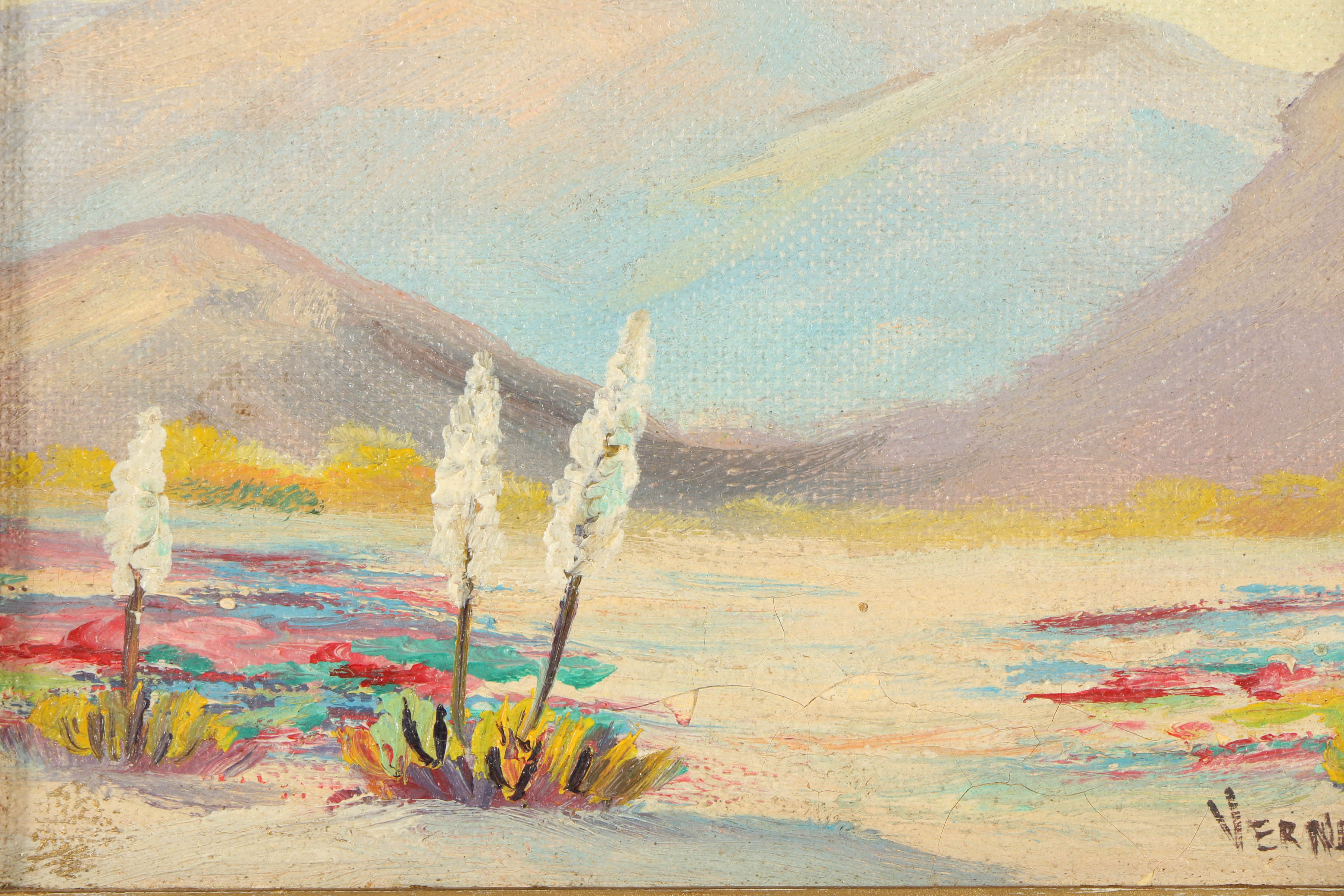 Verne Oil Paintings on Canvas of Desert Landscapes