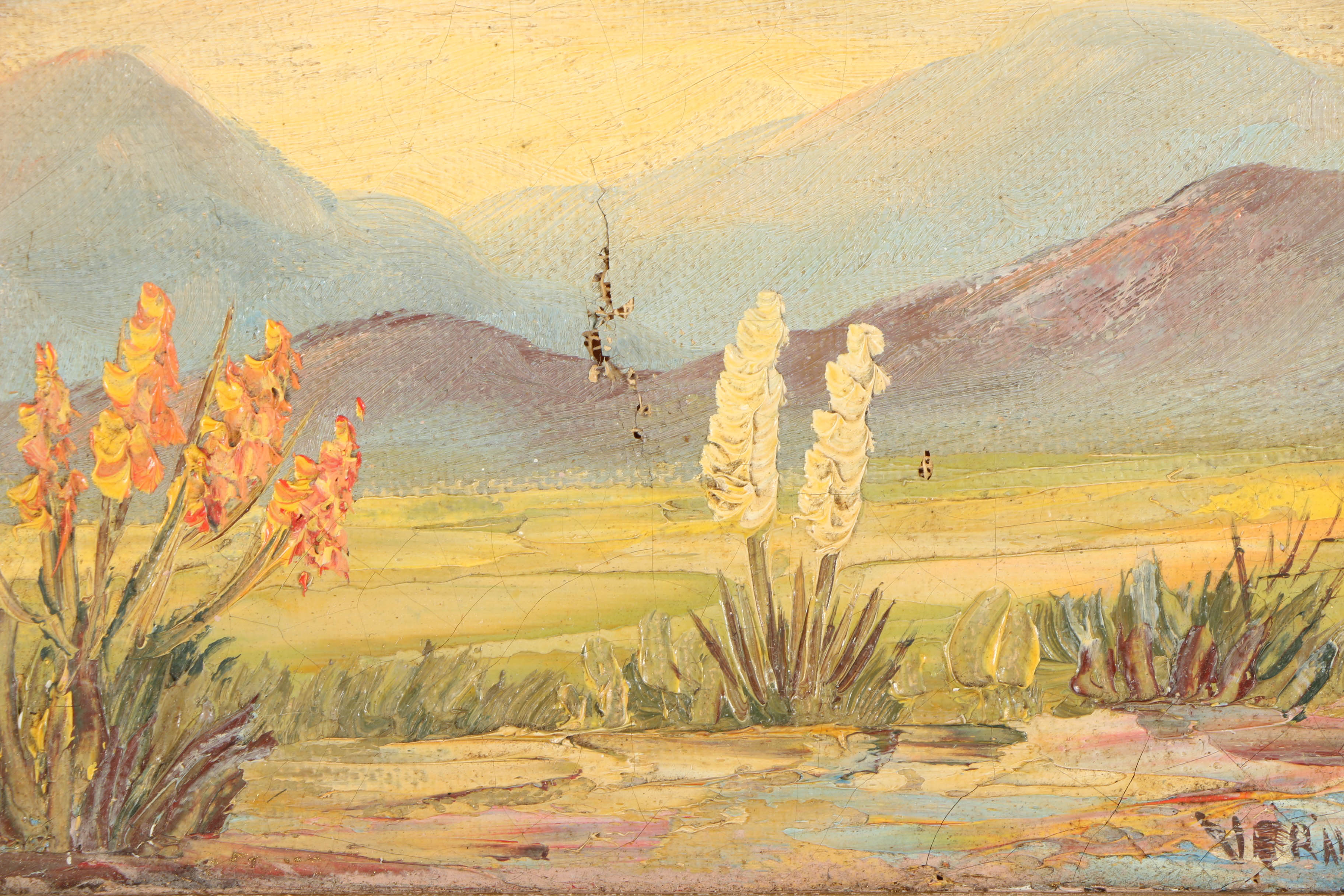 Verne Oil Paintings on Canvas of Desert Landscapes