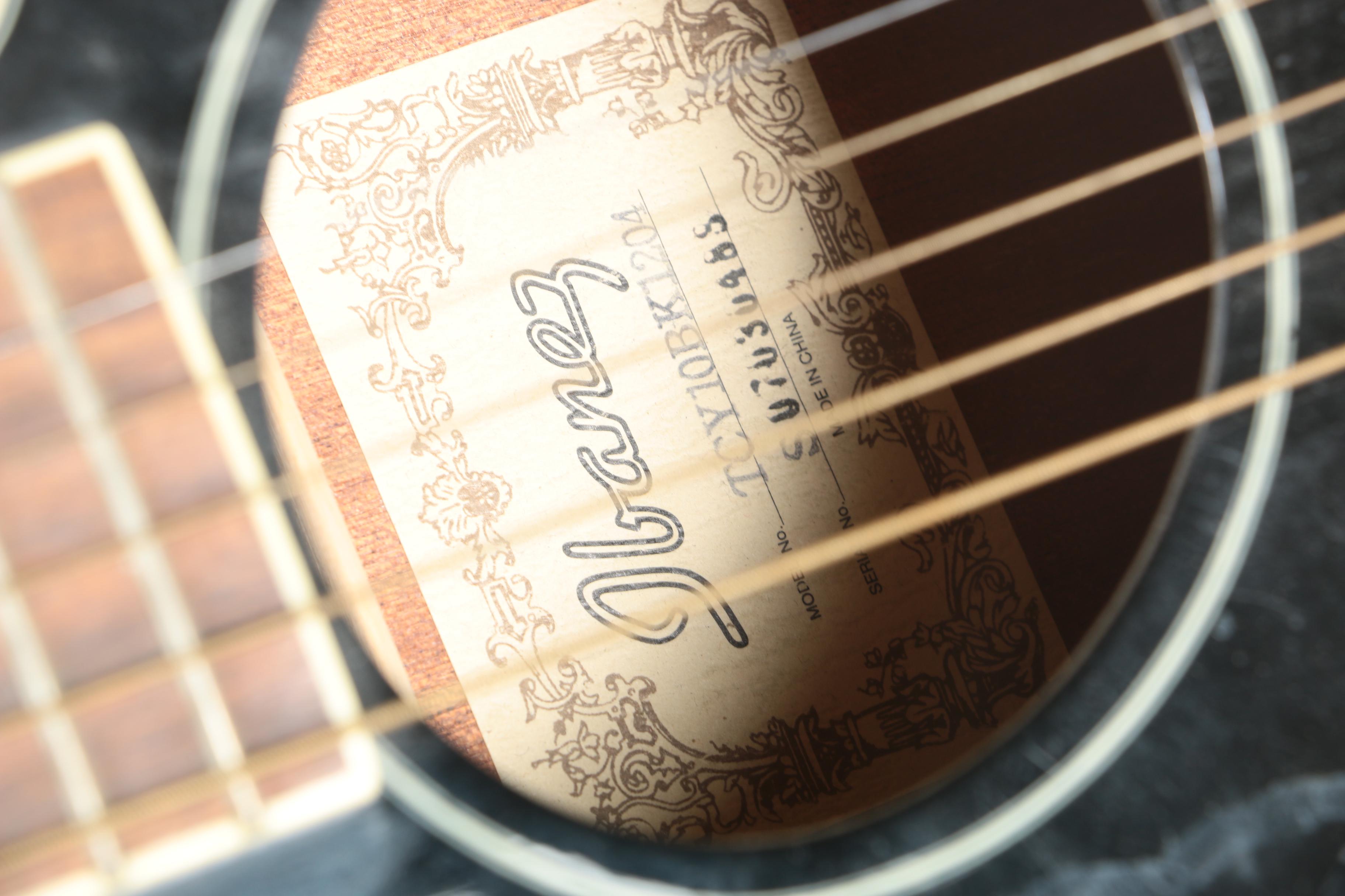 Ibanez Talman Acoustic-Electric Guitar and Case