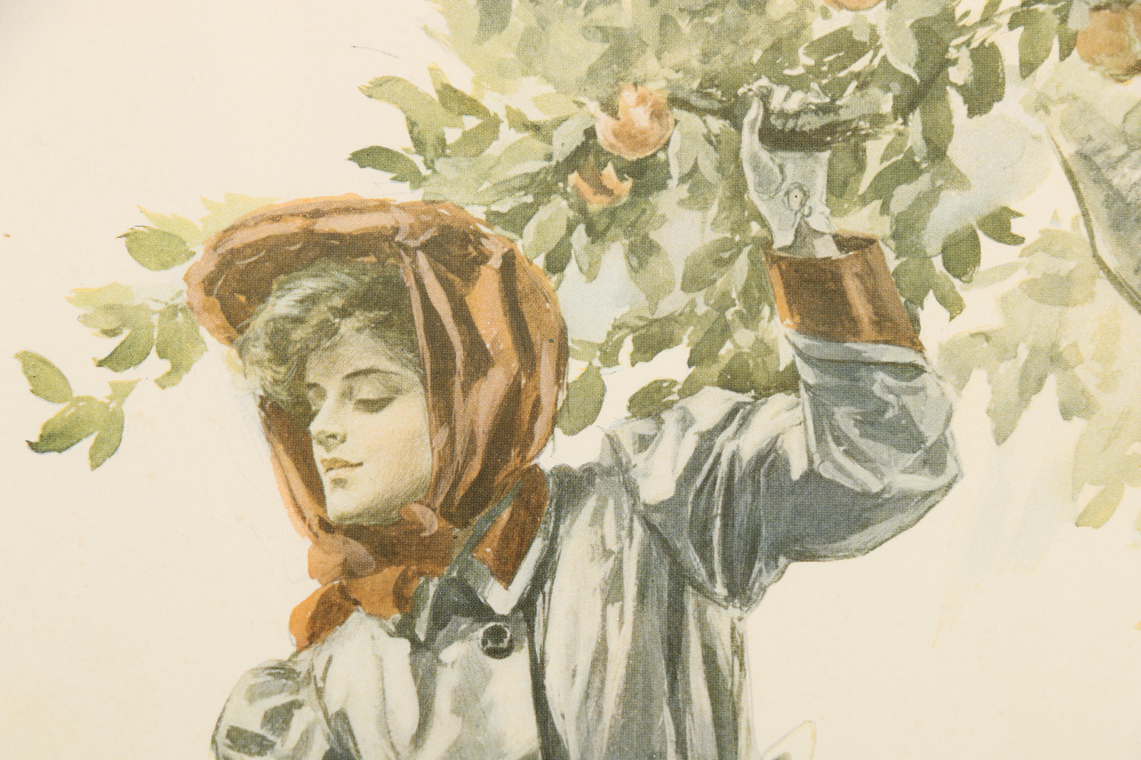 Offset Lithograph on Paper After Harrison Fisher "A Modern Eve"