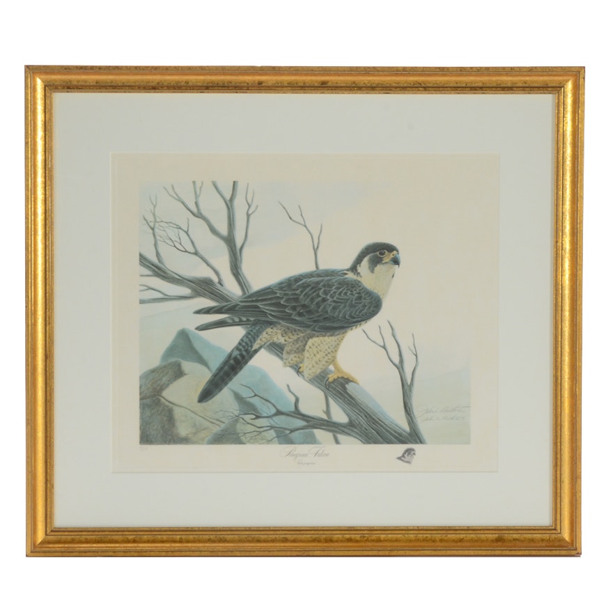 John Ruthven Signed Limited Edition Offset Lithograph "Peregrine Falcon"