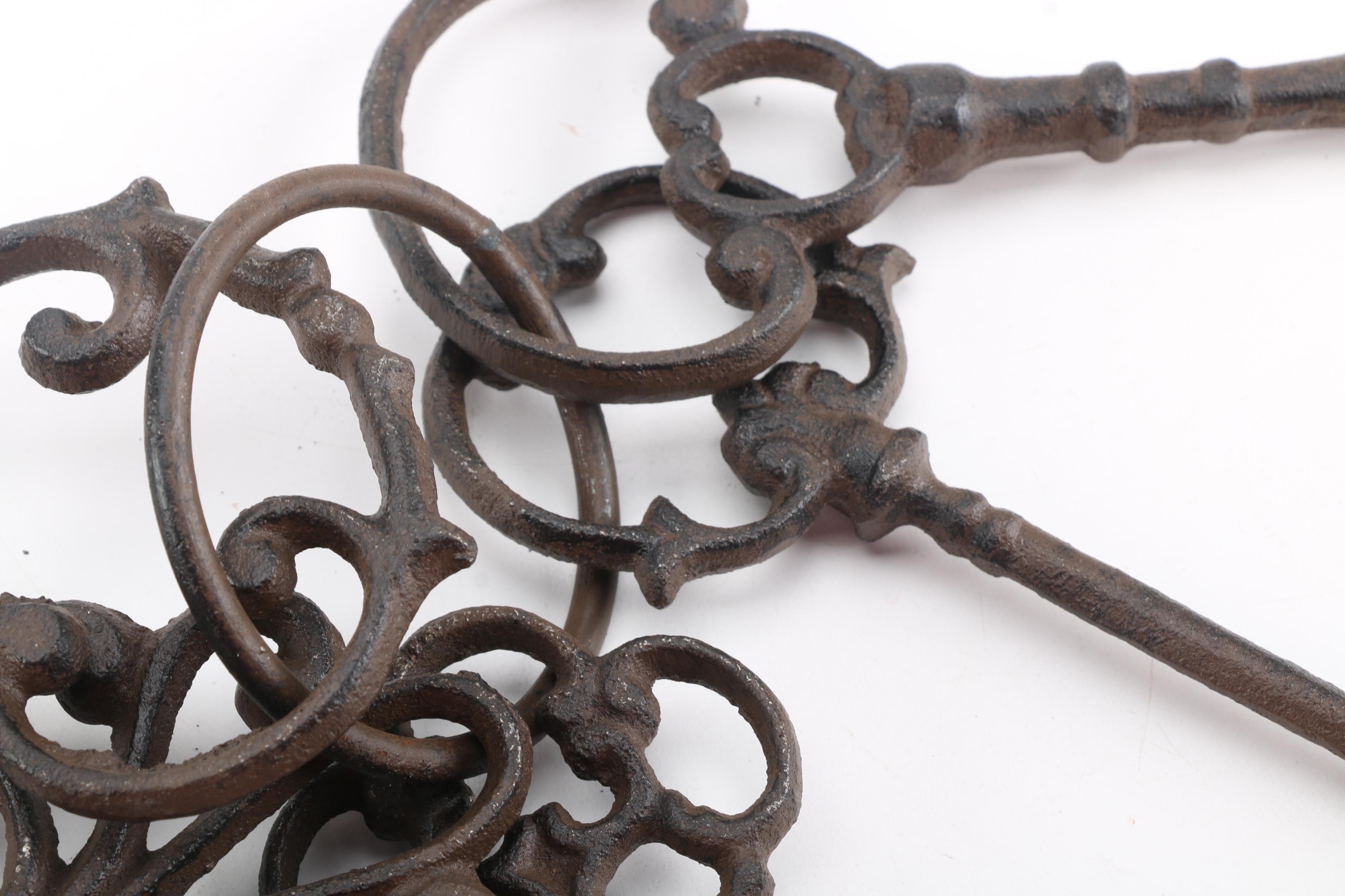 Iron Skeleton Keys on Ring