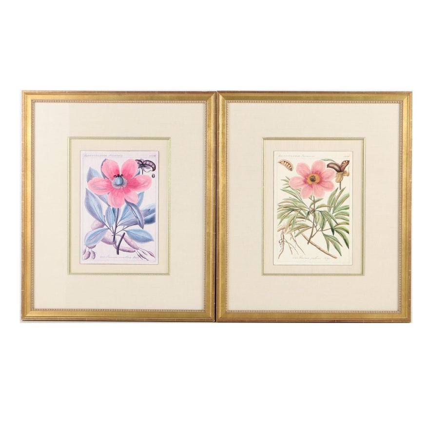 Offset Lithographs on Paper of Peonies