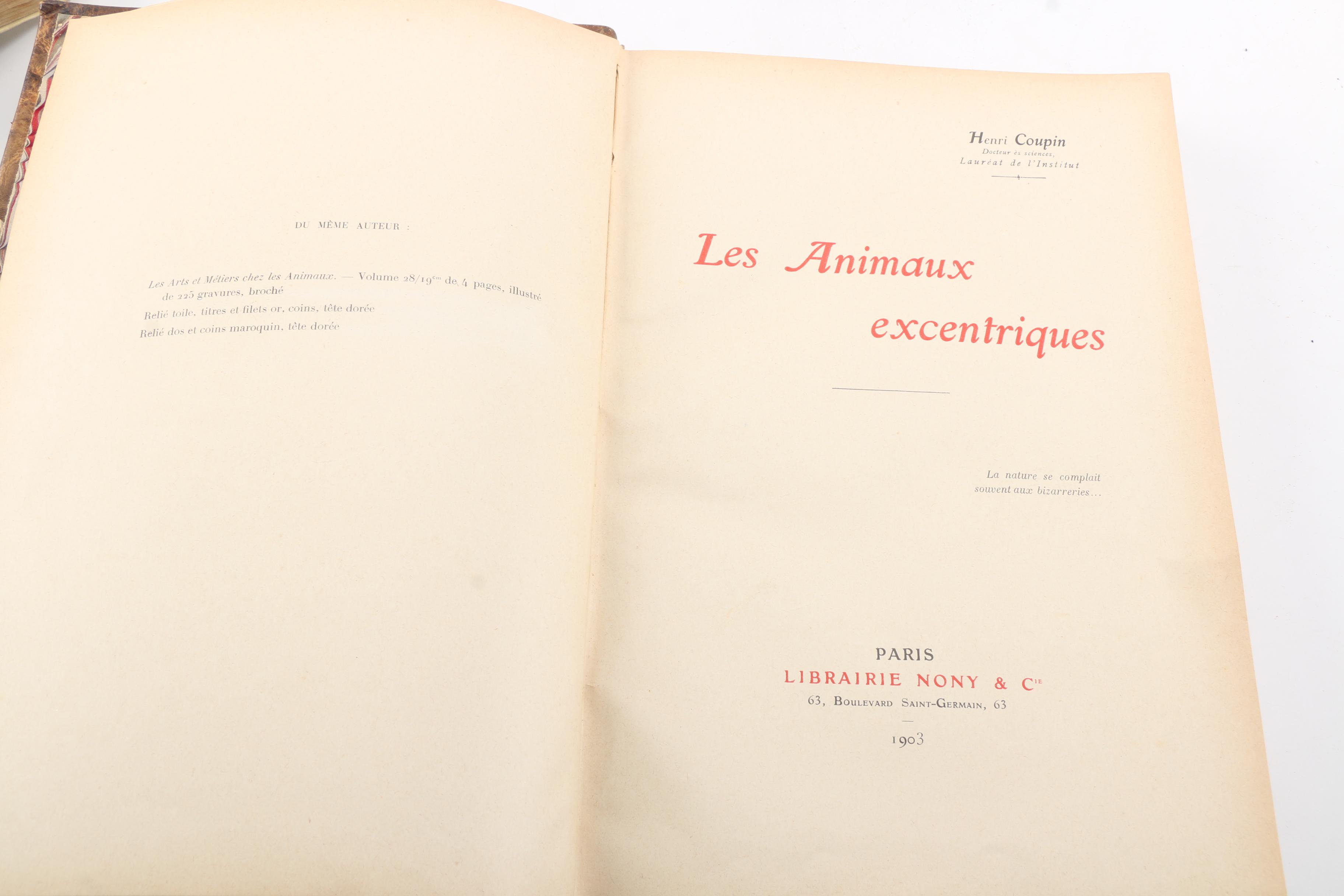 French-Language Books Including 1903 "Les Animaux Excentriques" by Henri Coupin