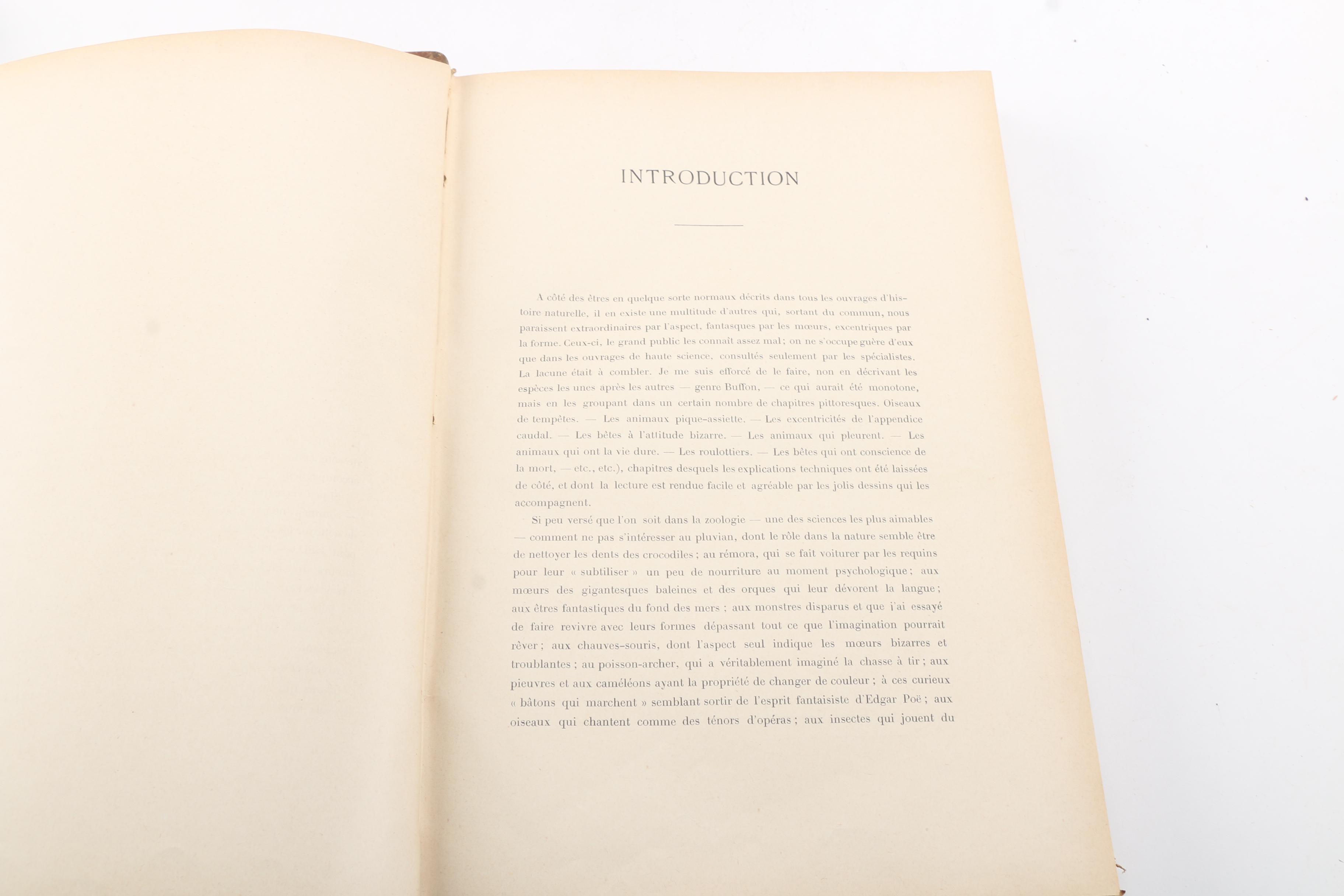 French-Language Books Including 1903 "Les Animaux Excentriques" by Henri Coupin