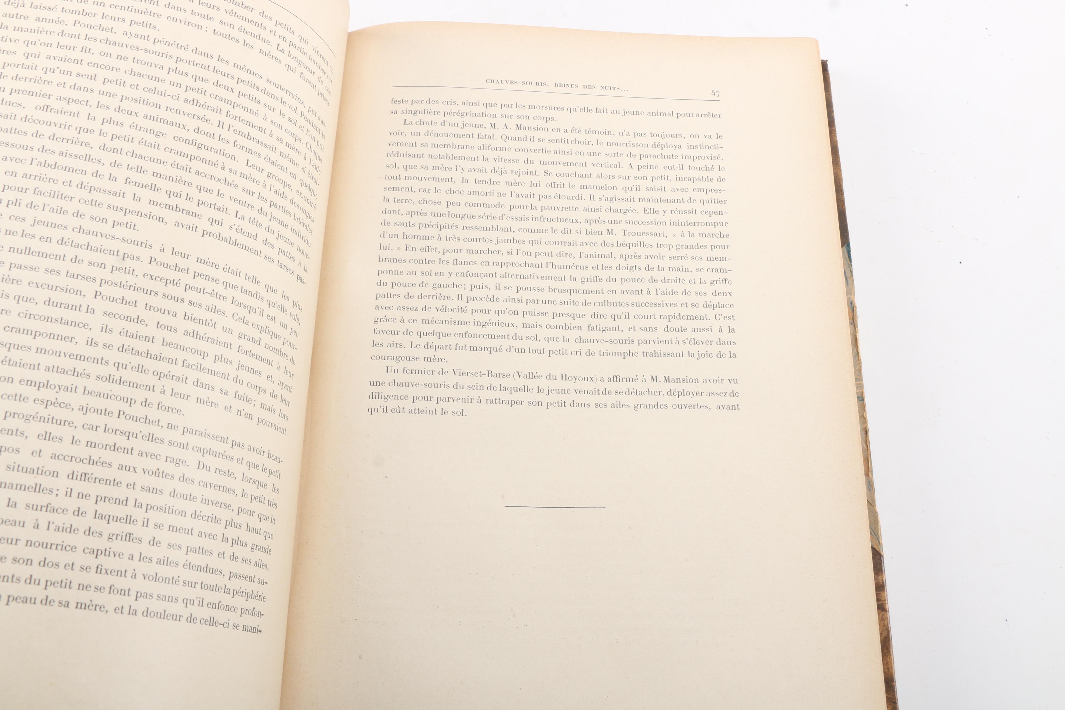 French-Language Books Including 1903 "Les Animaux Excentriques" by Henri Coupin