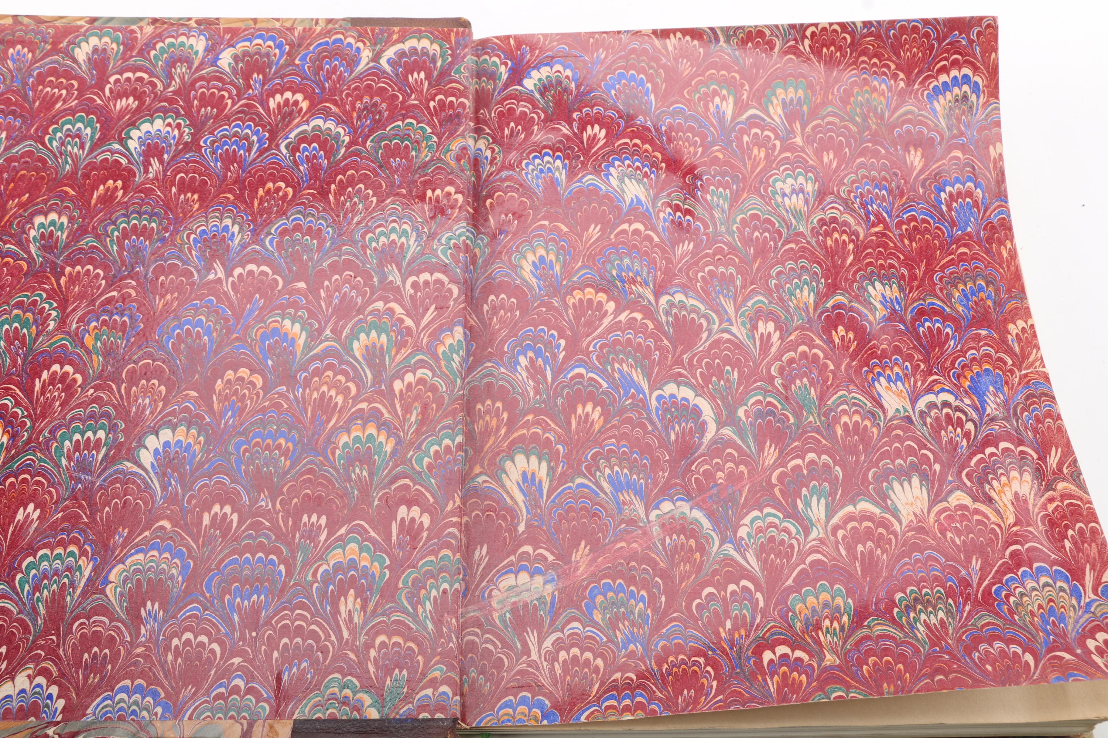 French-Language Books Including 1903 "Les Animaux Excentriques" by Henri Coupin