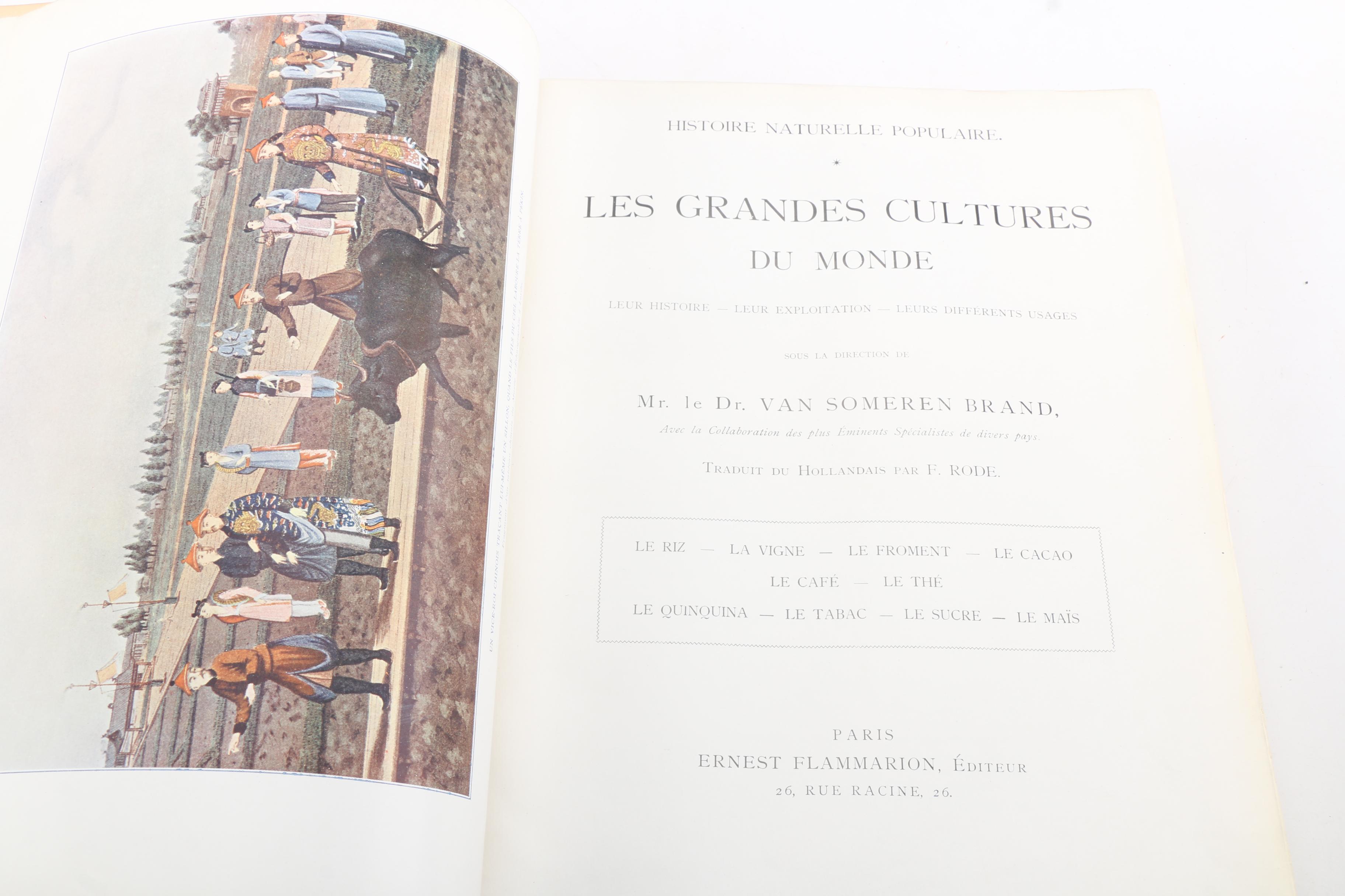 French-Language Books Including 1903 "Les Animaux Excentriques" by Henri Coupin