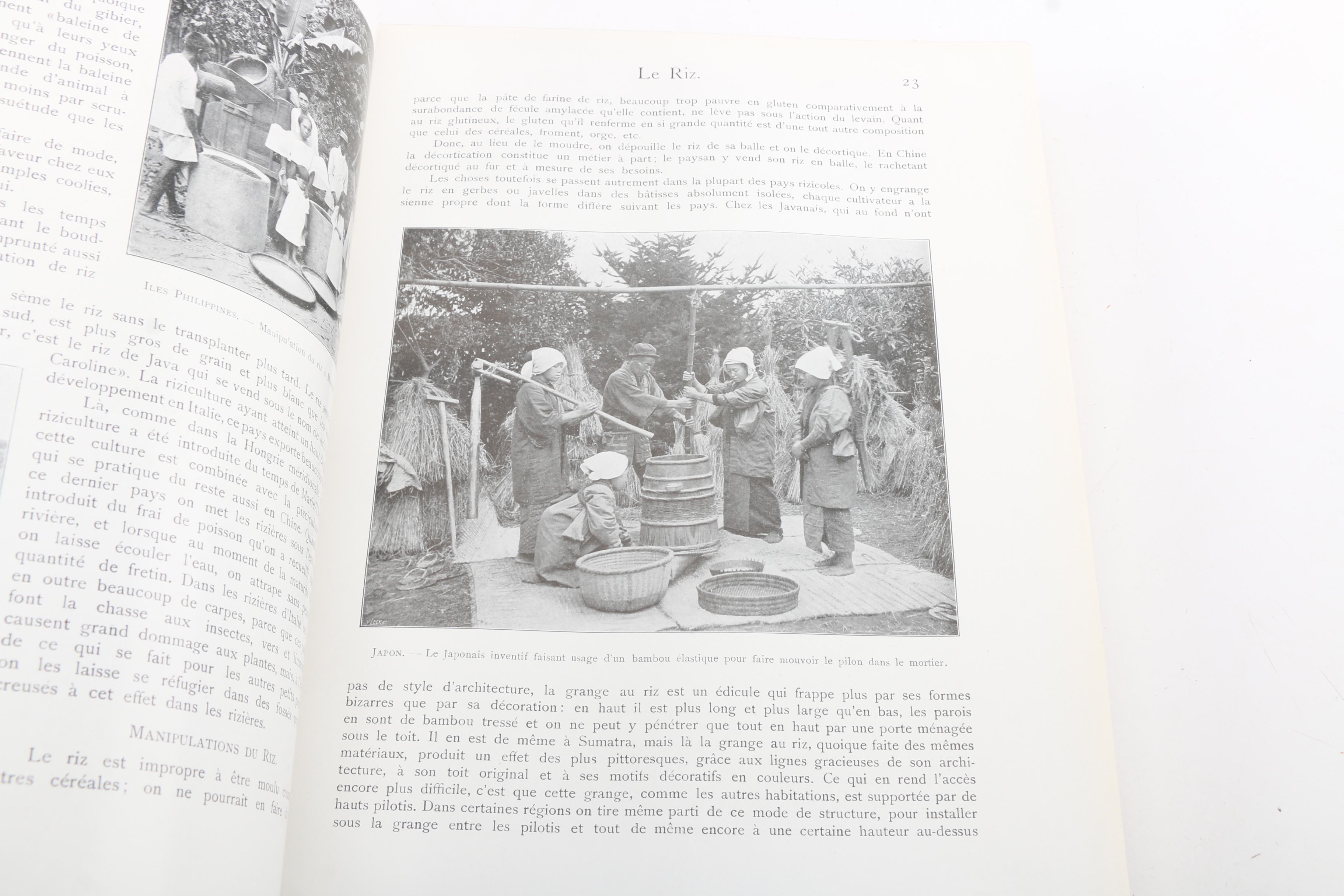 French-Language Books Including 1903 "Les Animaux Excentriques" by Henri Coupin