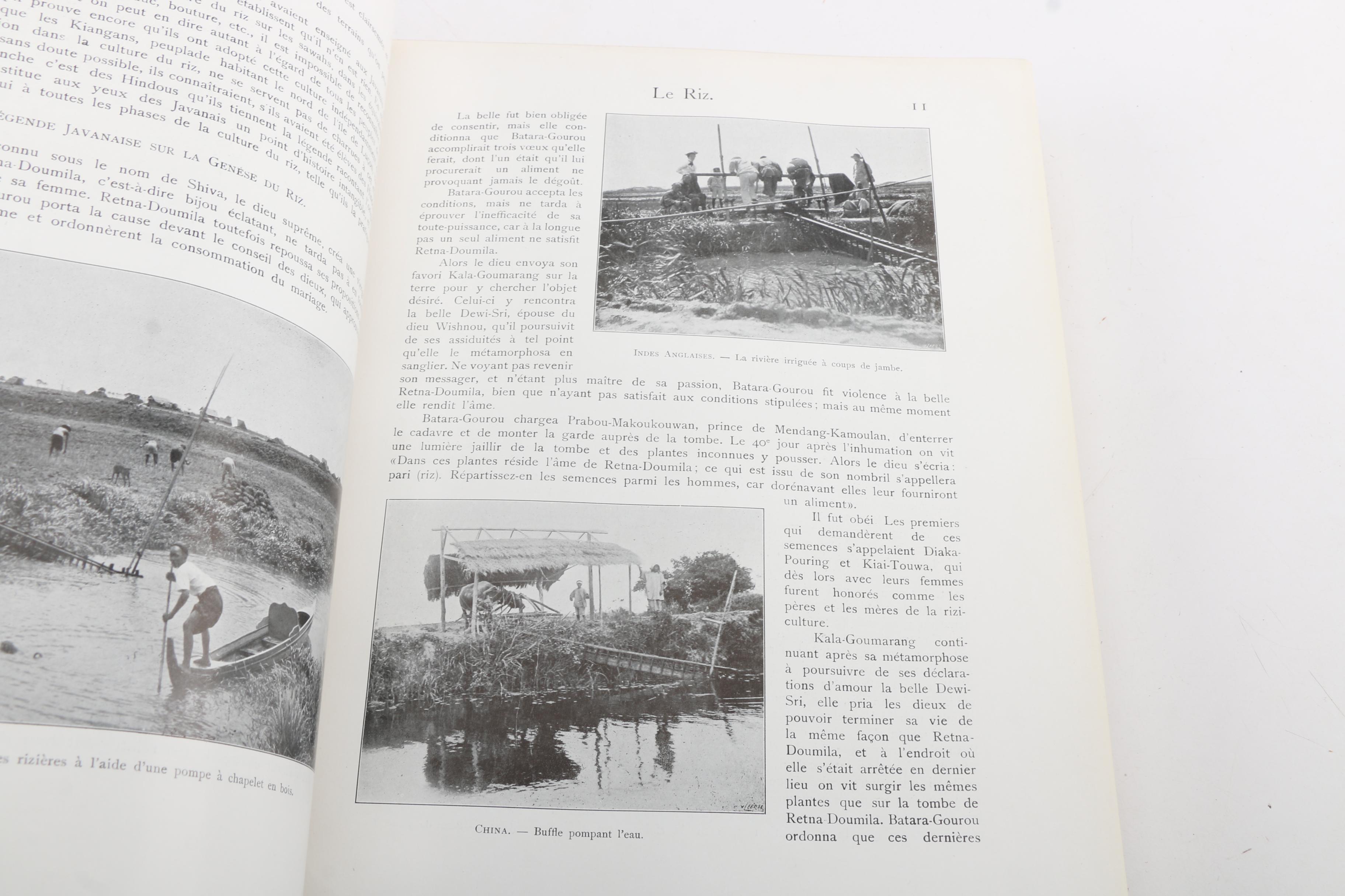 French-Language Books Including 1903 "Les Animaux Excentriques" by Henri Coupin