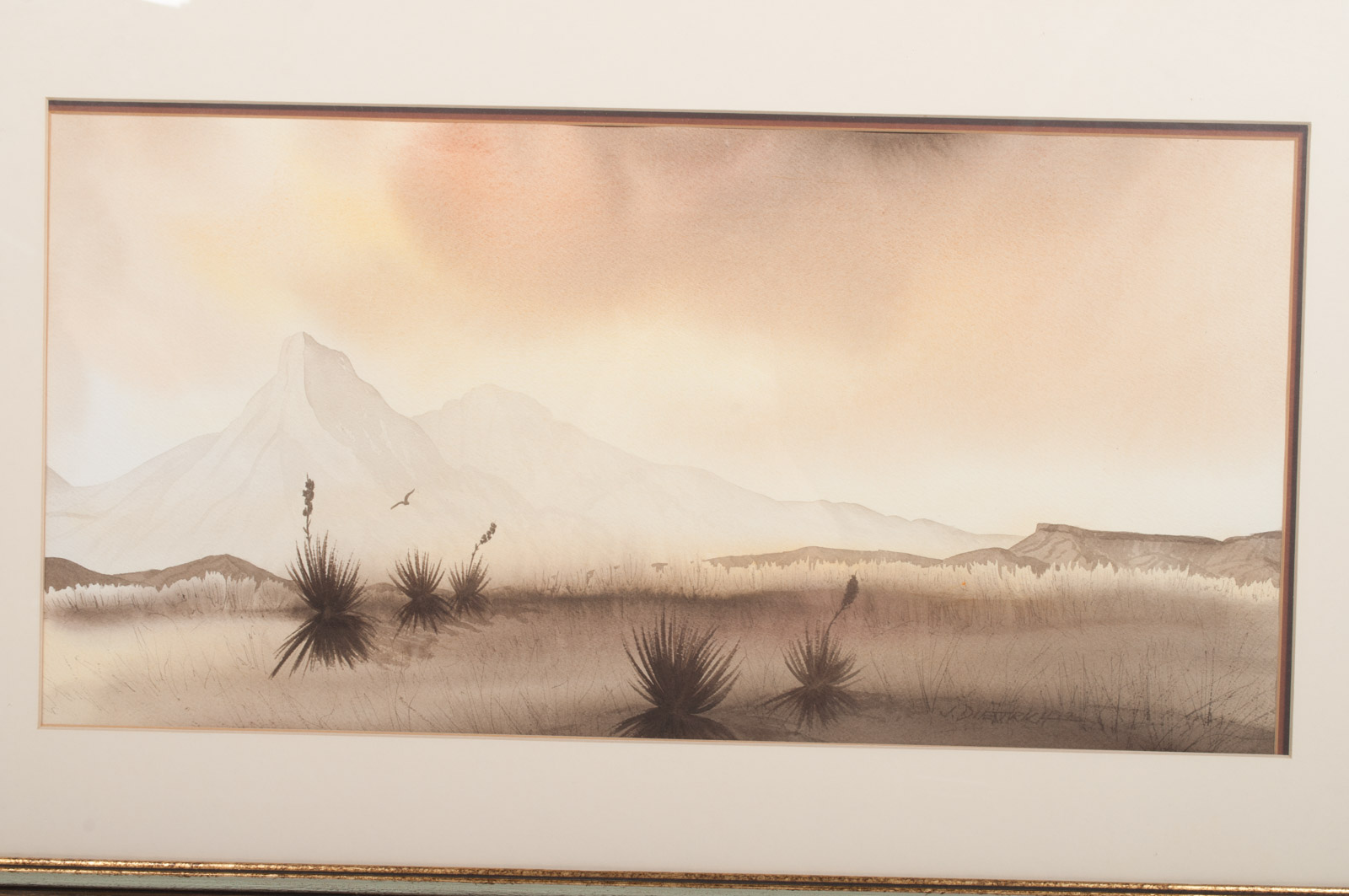 Jack Dietrich Watercolor Painting on Paper "Yucca Land"