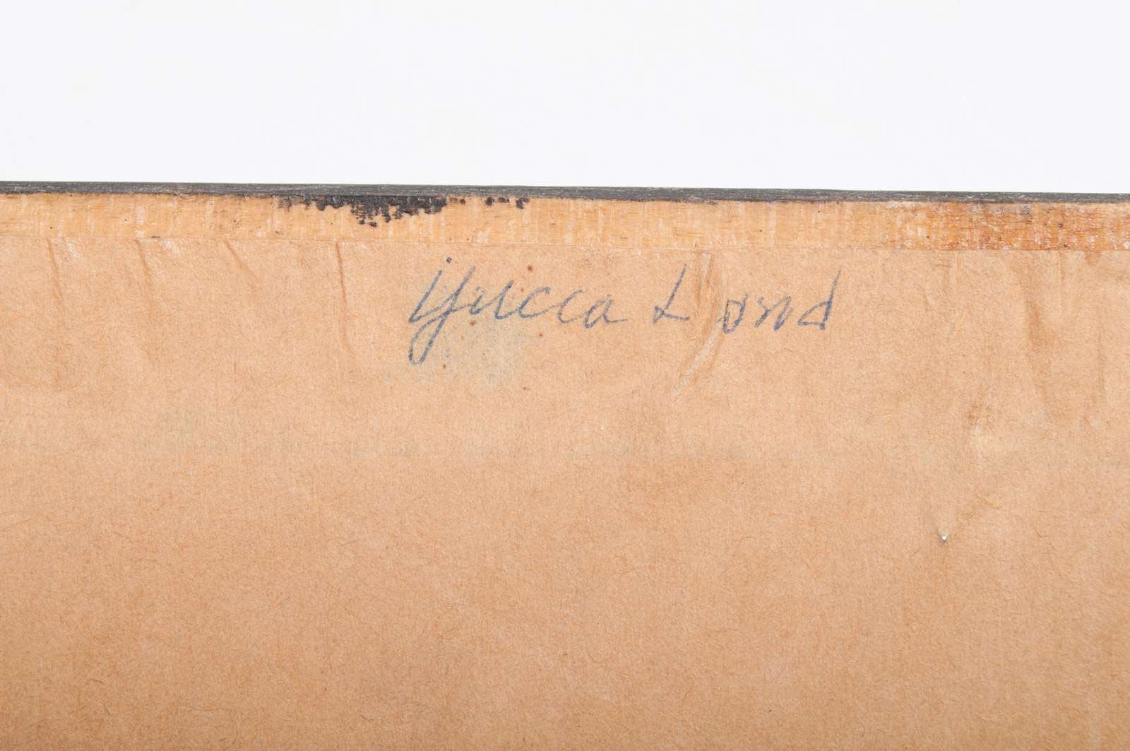 Jack Dietrich Watercolor Painting on Paper "Yucca Land"