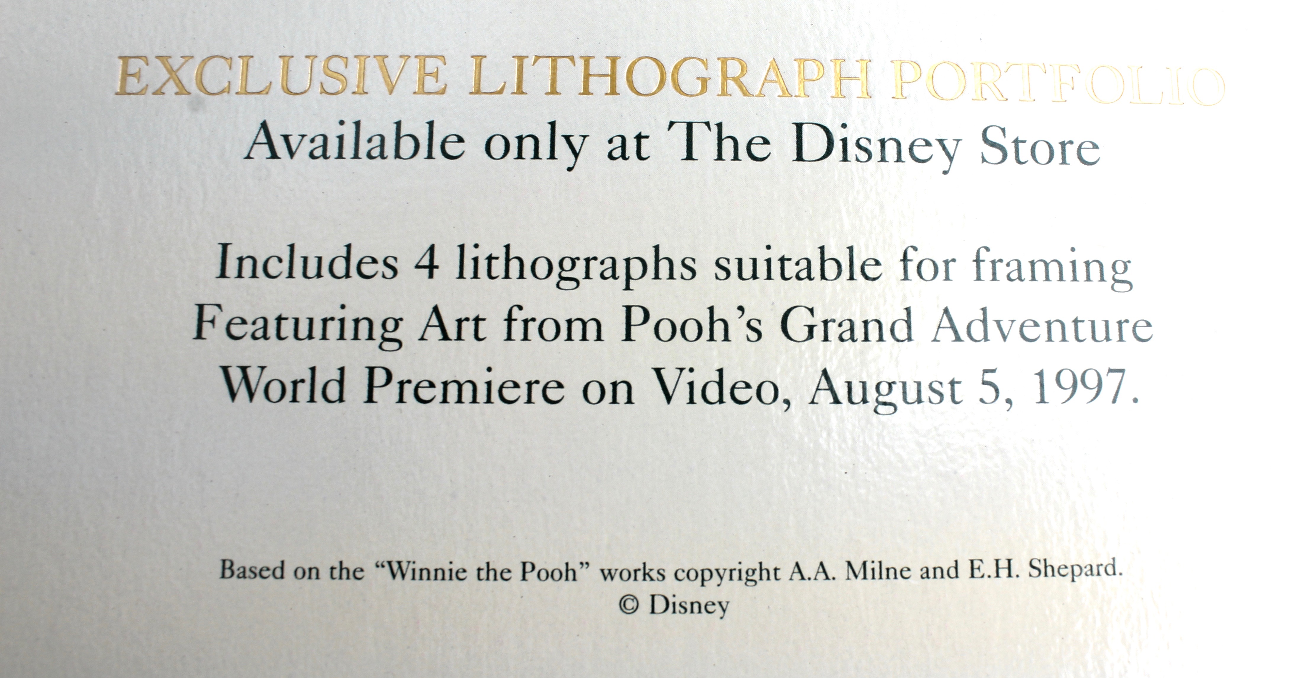 Vintage Disney's Exclusive Pooh's Grand Adventure Offset Lithographs