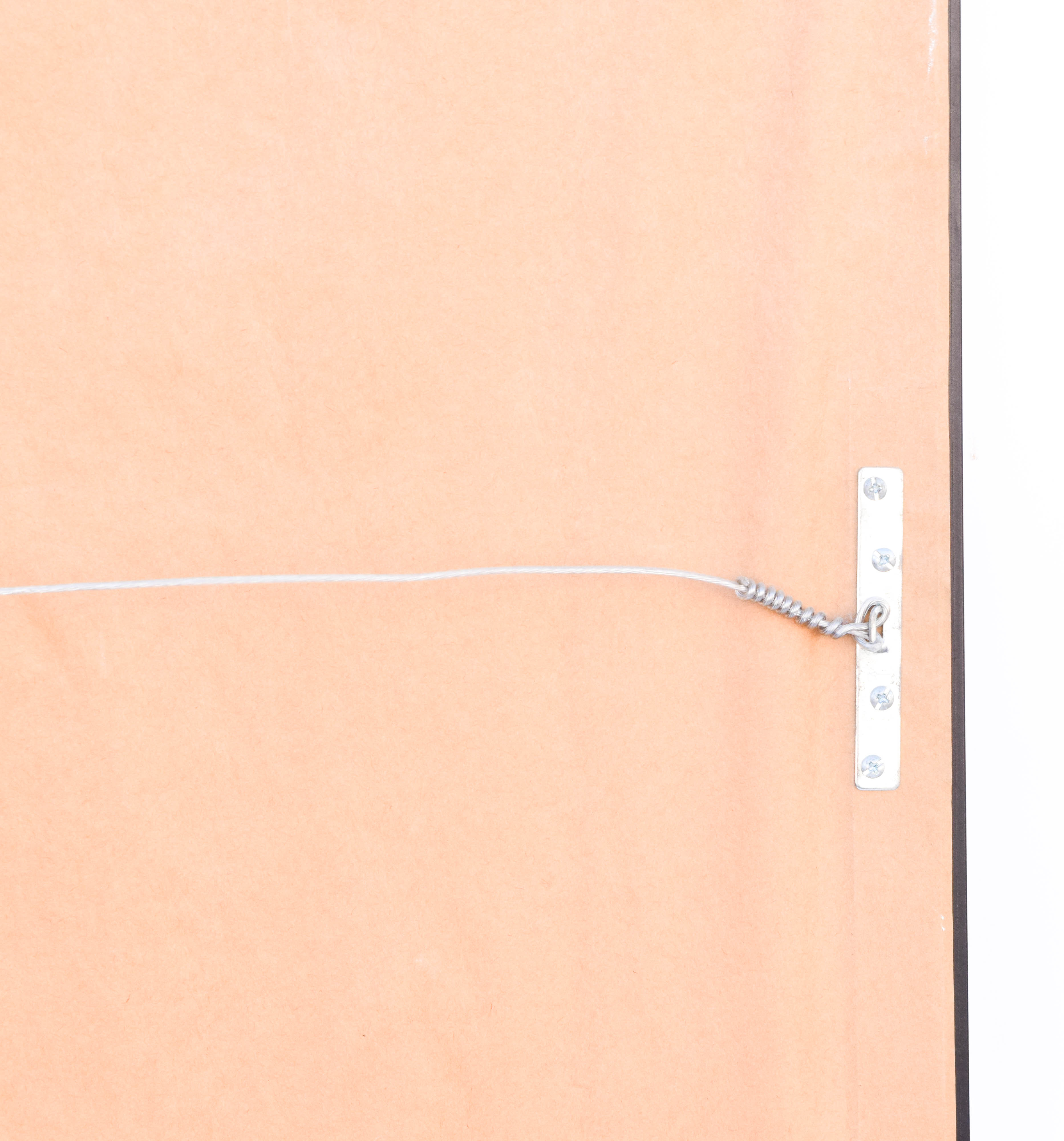 Vintage Movie Poster "Get Yourself a College Girl"