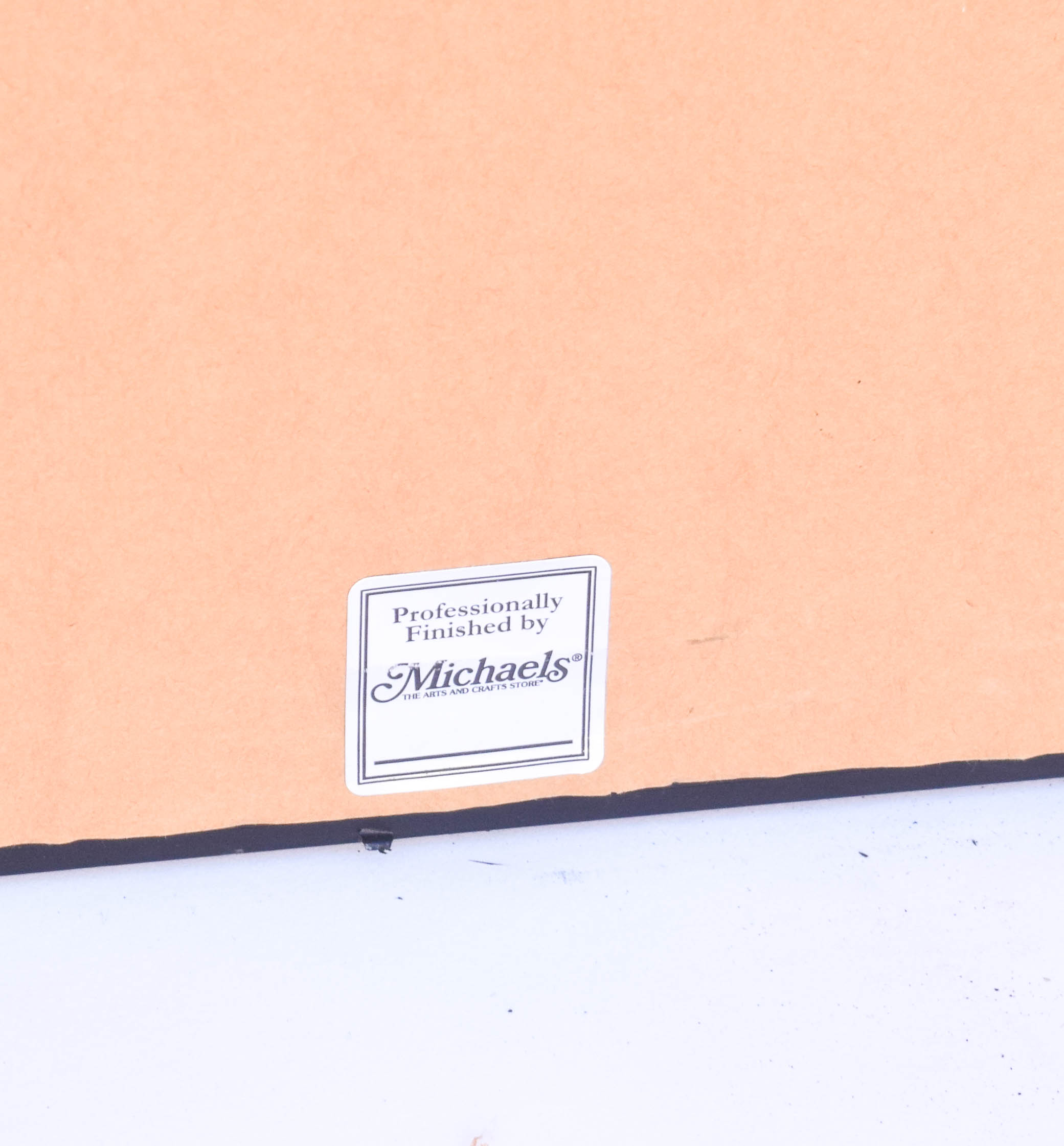 Vintage Movie Poster "Get Yourself a College Girl"