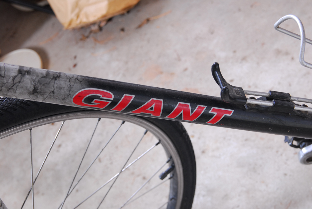 Giant "Prodigy" 7-Speed Bicycle
