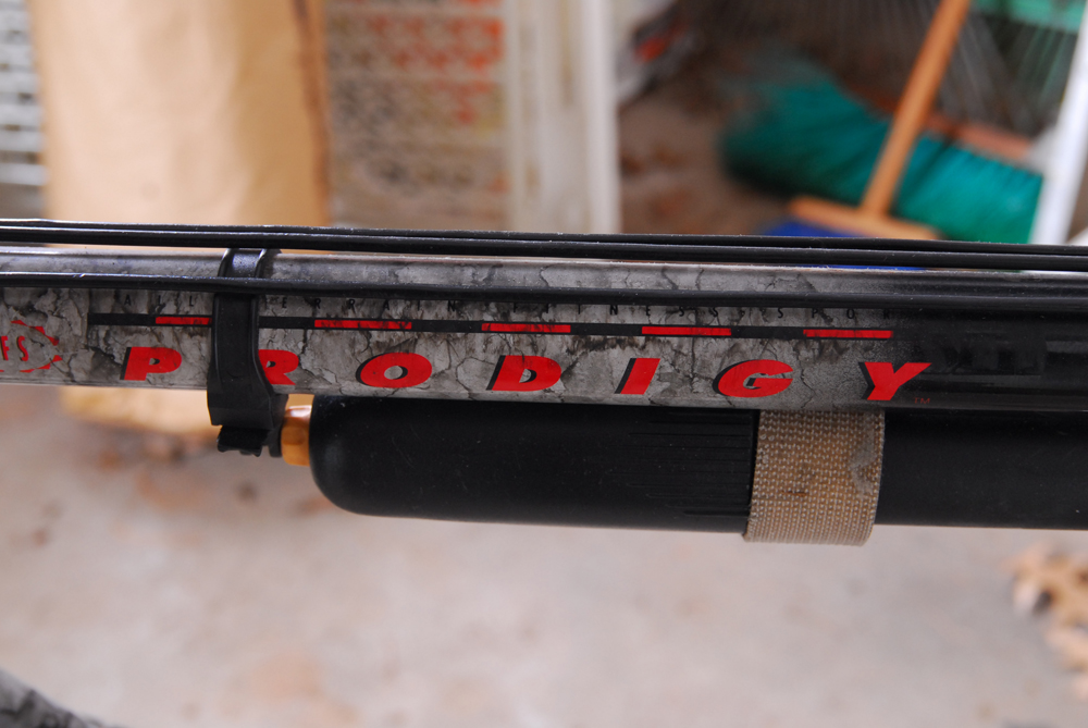 Giant "Prodigy" 7-Speed Bicycle