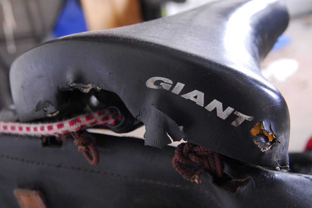 Giant "Prodigy" 7-Speed Bicycle