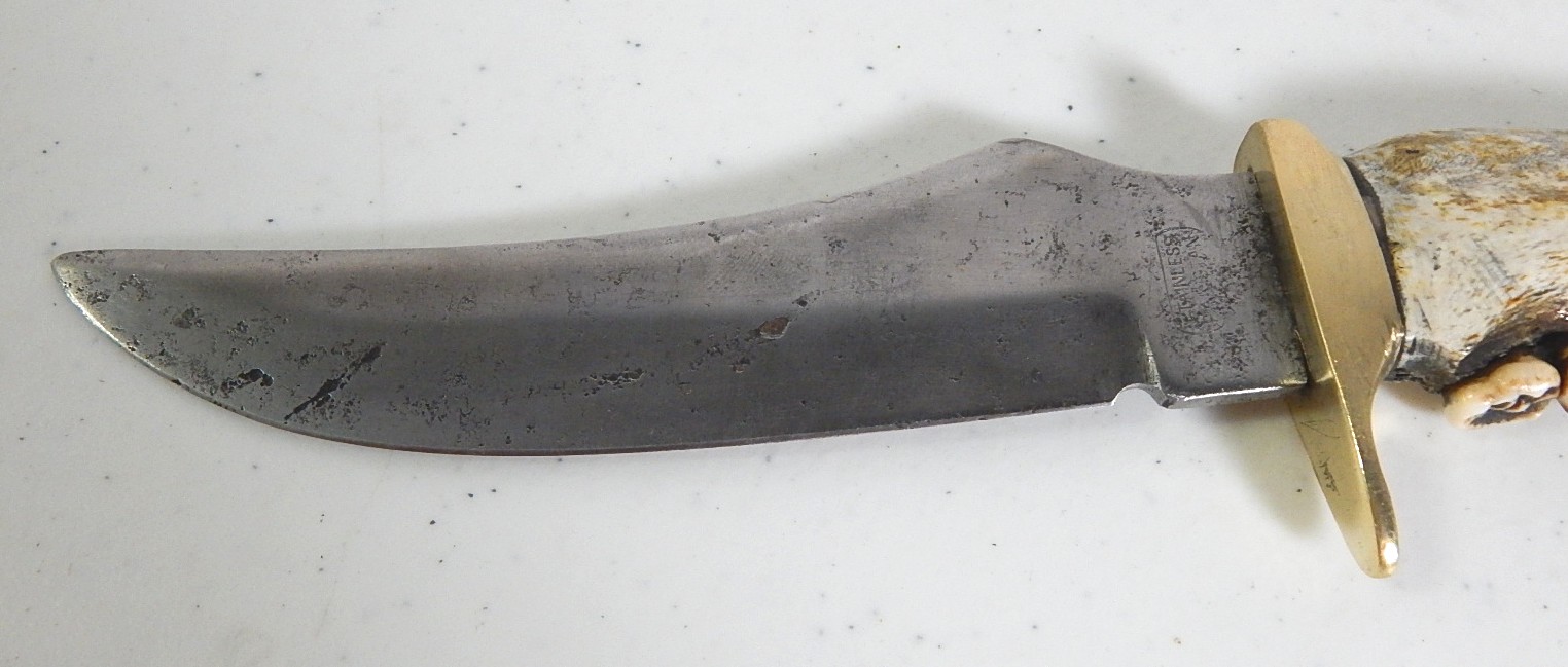 Black Bear Jaw Handled Fixed Blade Knife