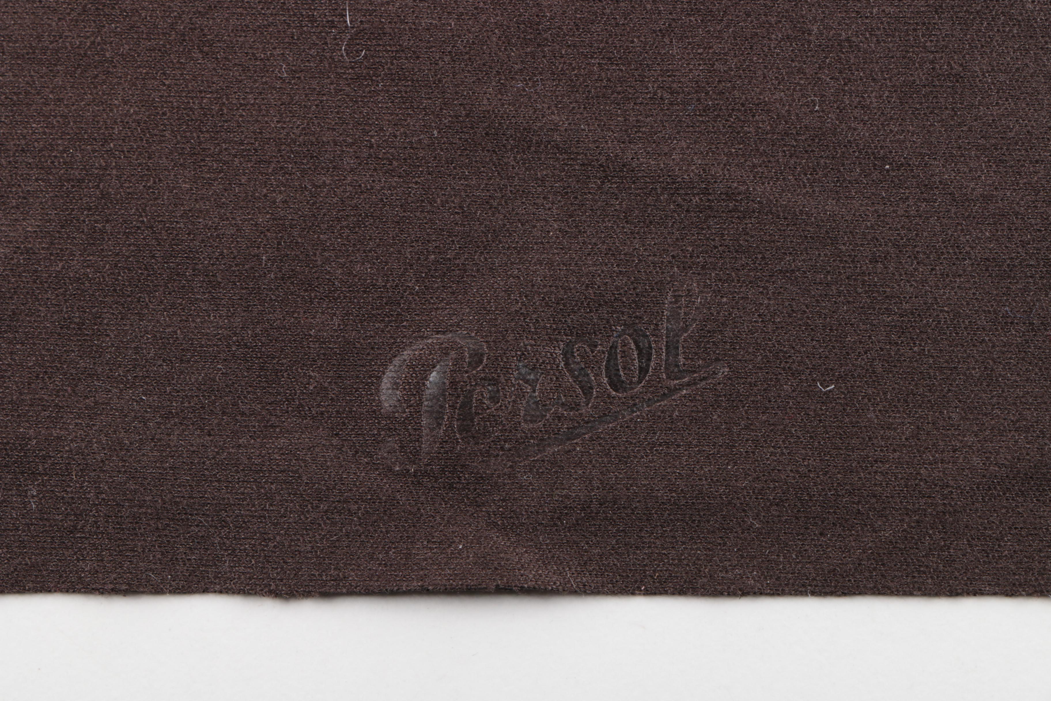 Persol Polarized Horn-Rimmed Style Sunglasses