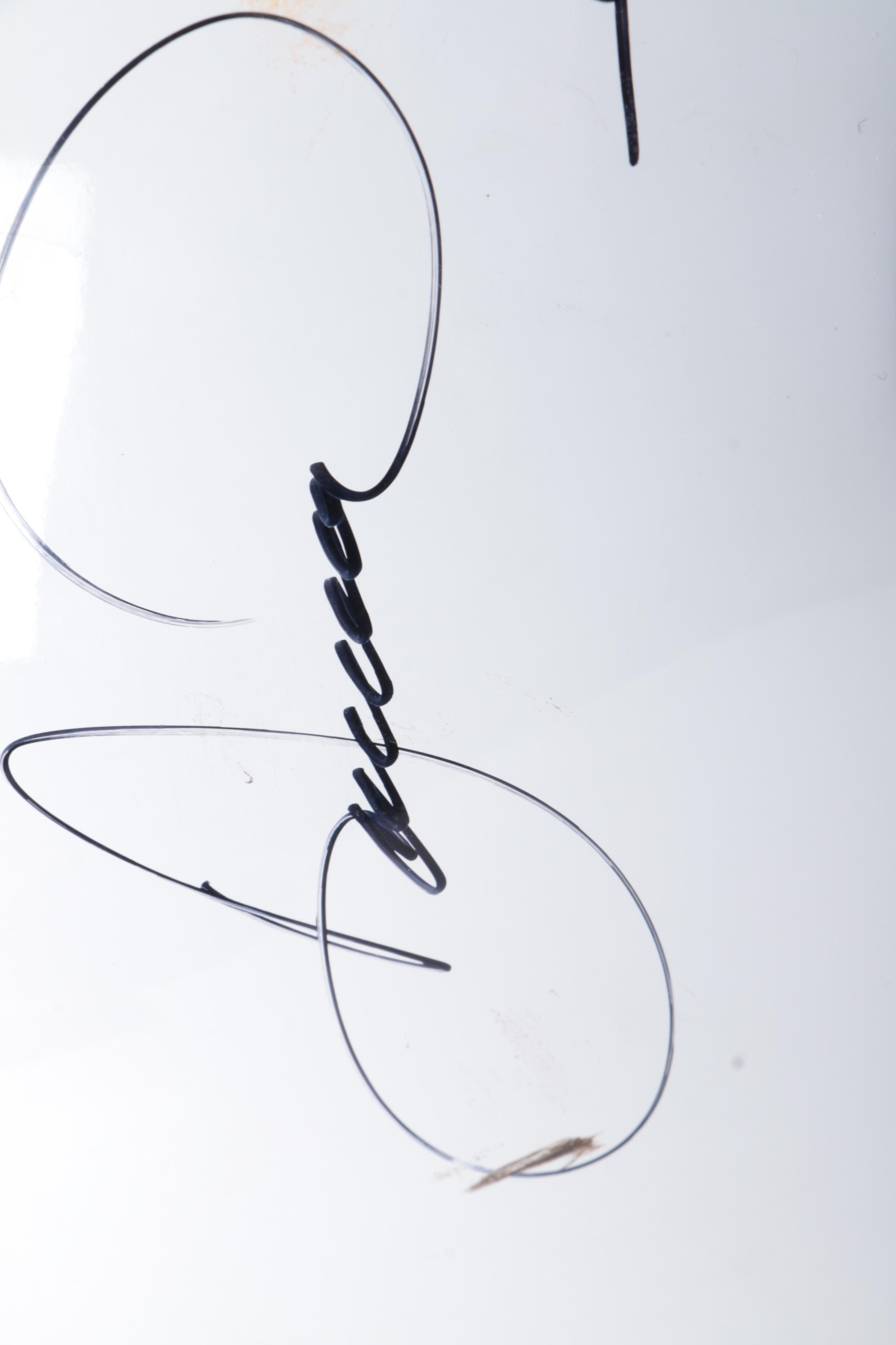 Autographed Race Car Helmet Including Danica Patrick