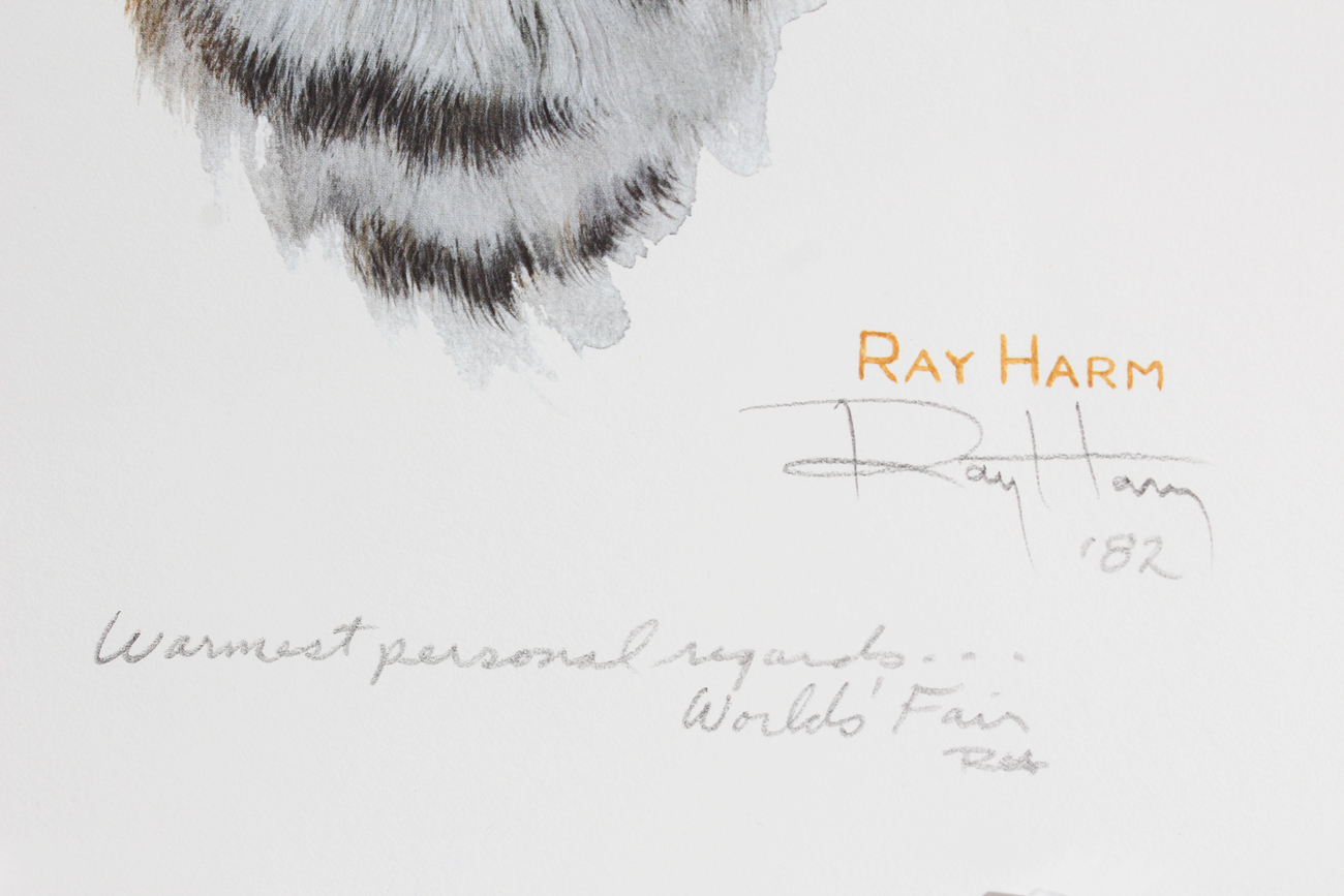 Signed Ray Harm Lithograph "Wildcat"