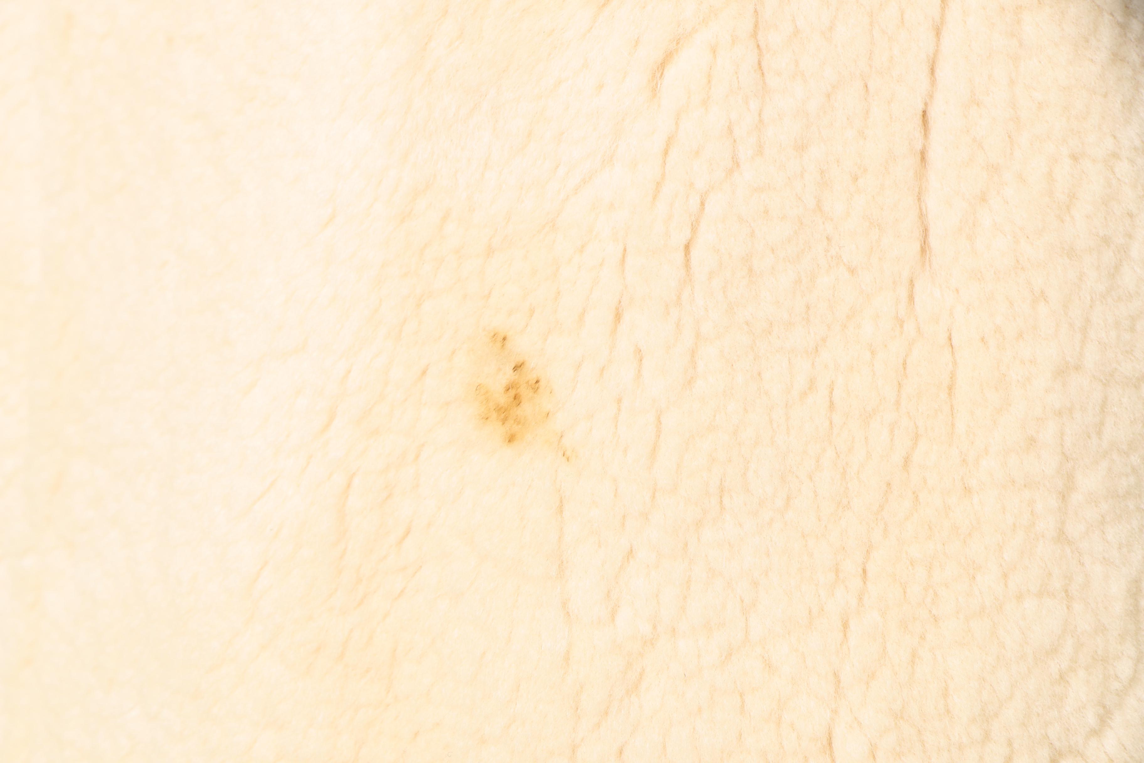 David Green Sheared Beaver Fur Coat with Mink Fur trim and a Mink Fur Hat