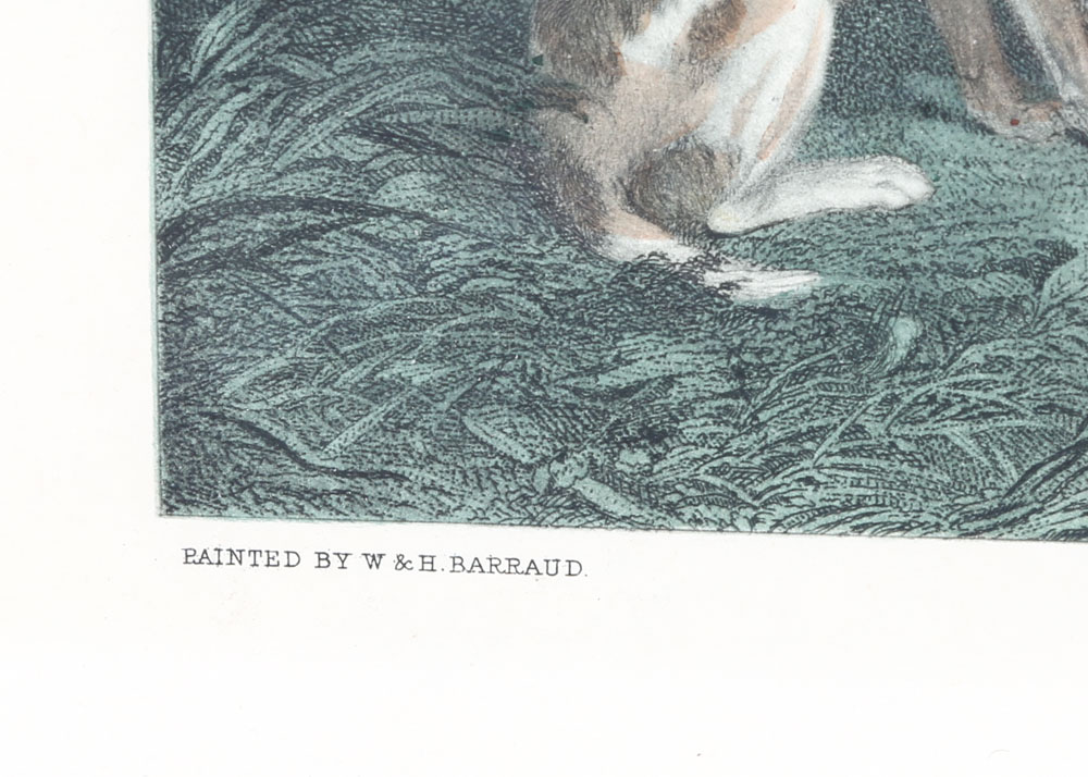 'Mr. Charles Davis on The Traverser" Offset Lithograph After Edward Hacker