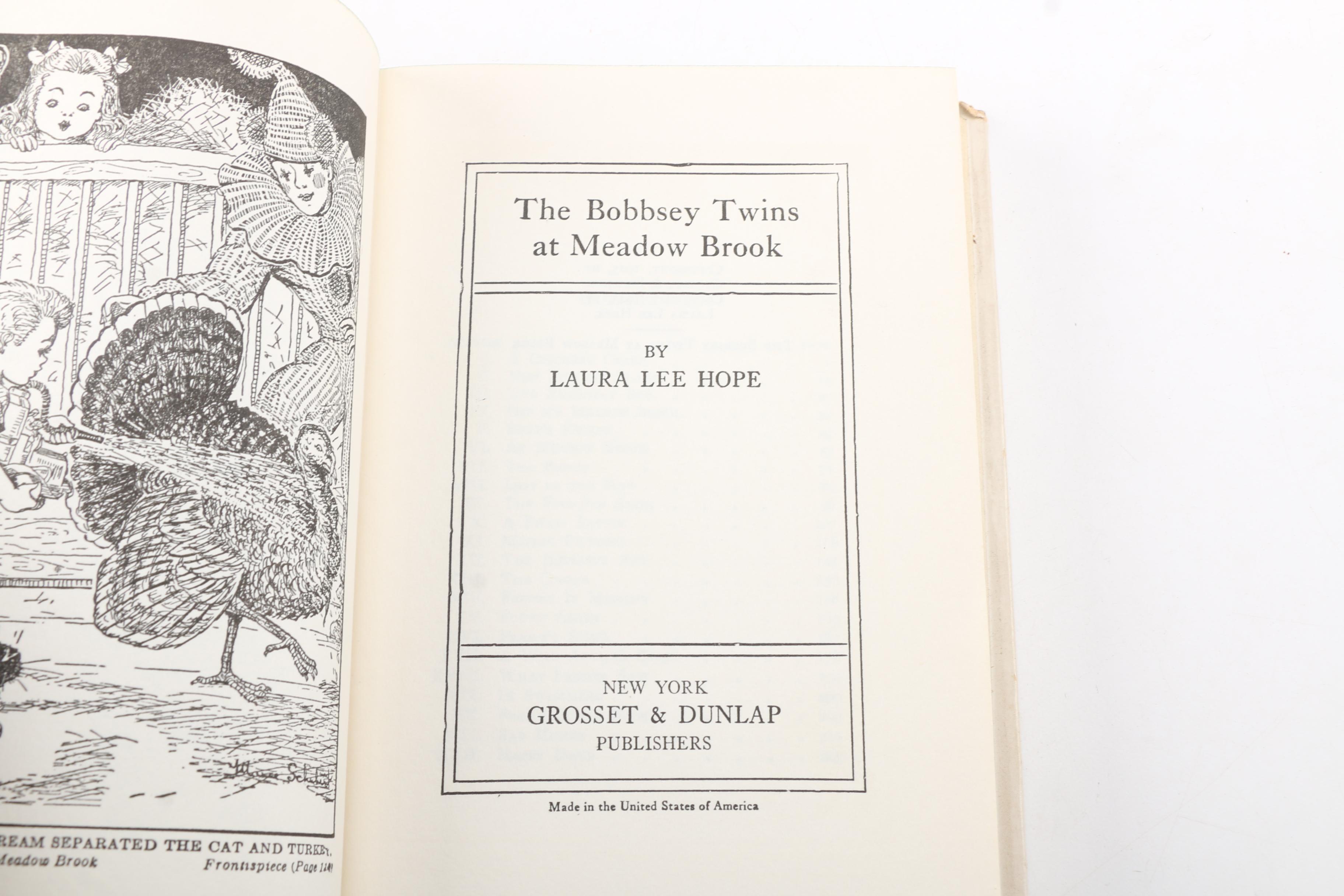 Collection of Vintage "The Bobbsey Twins" Books by Laura Lee Hope