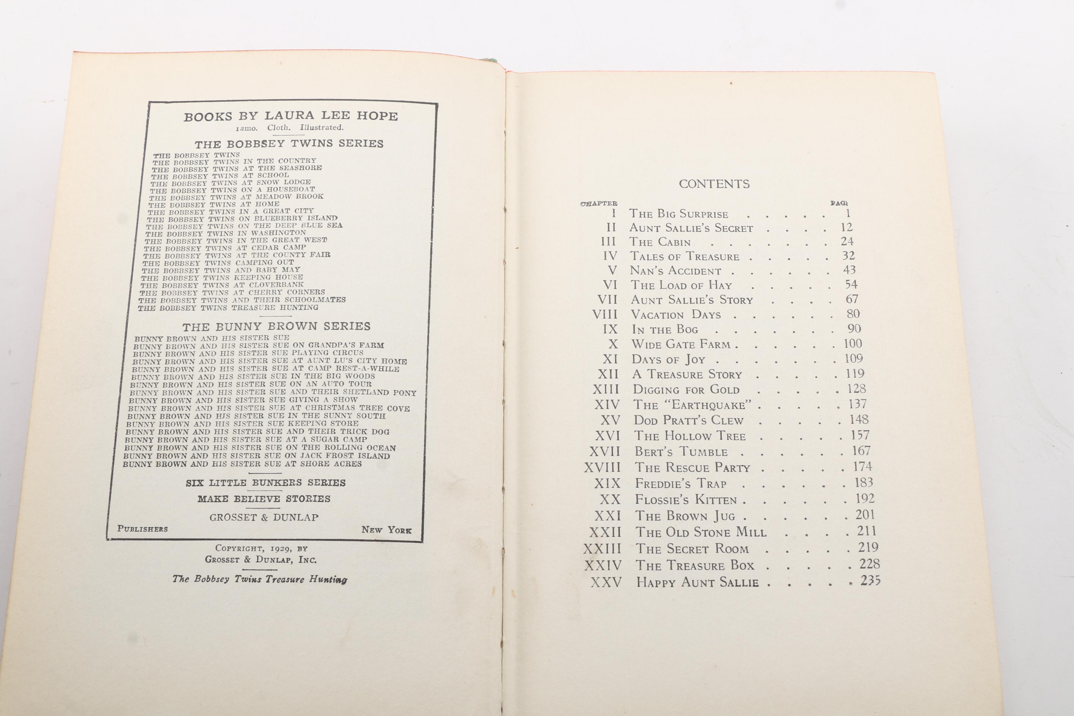 Collection of Vintage "The Bobbsey Twins" Books by Laura Lee Hope